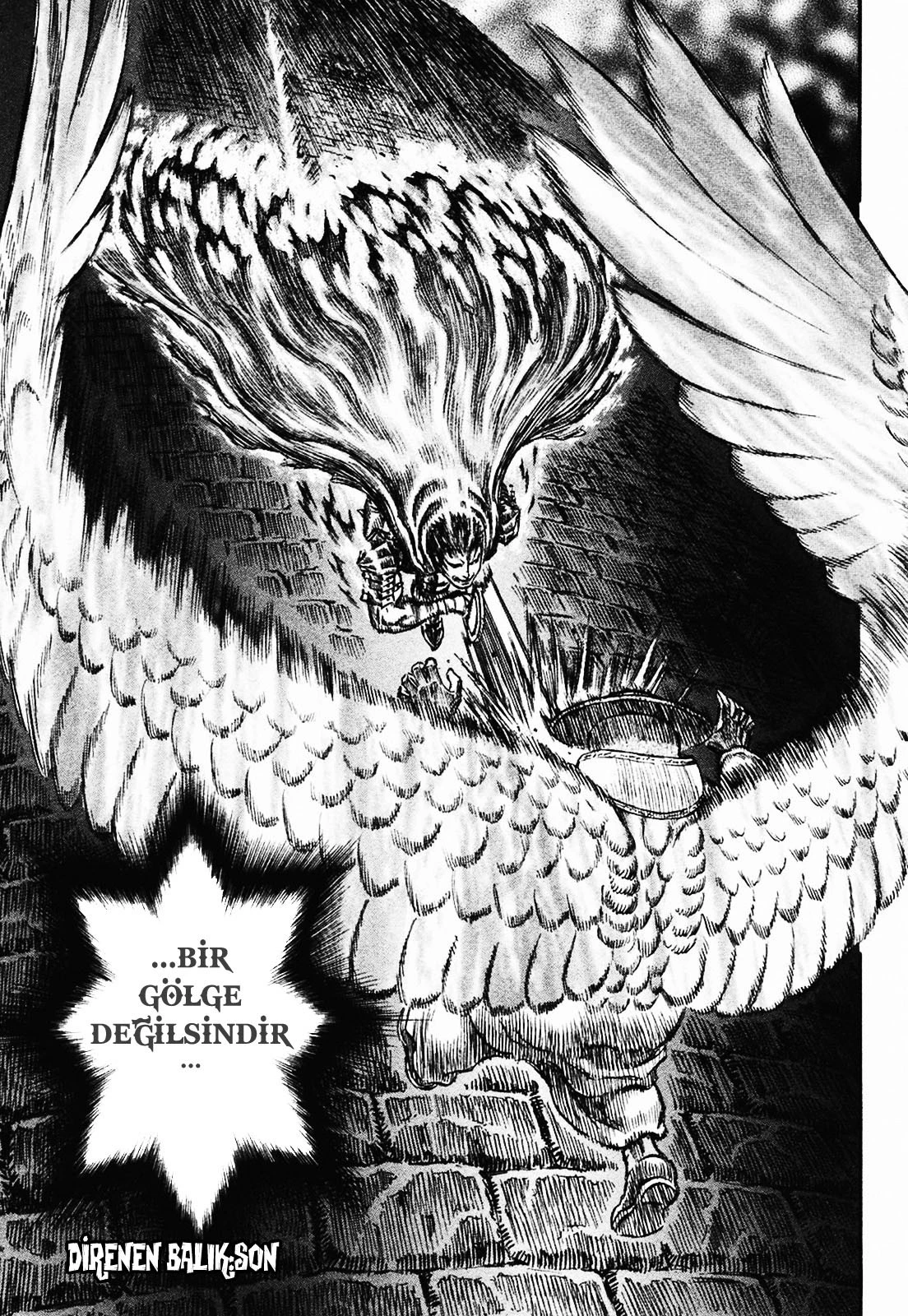 Read Berserk TR Manga Online