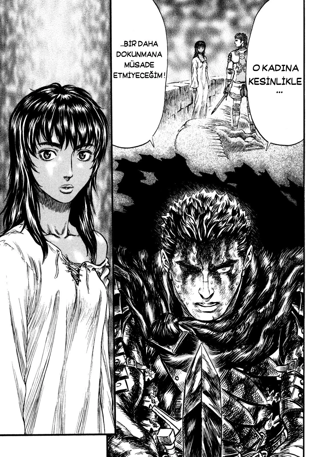 Read Berserk TR Manga Online