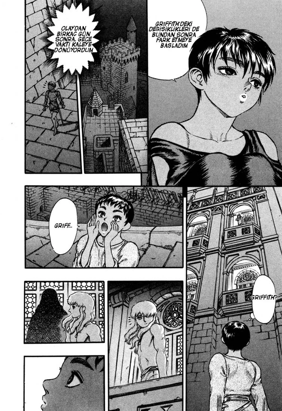 Read Berserk TR Manga Online