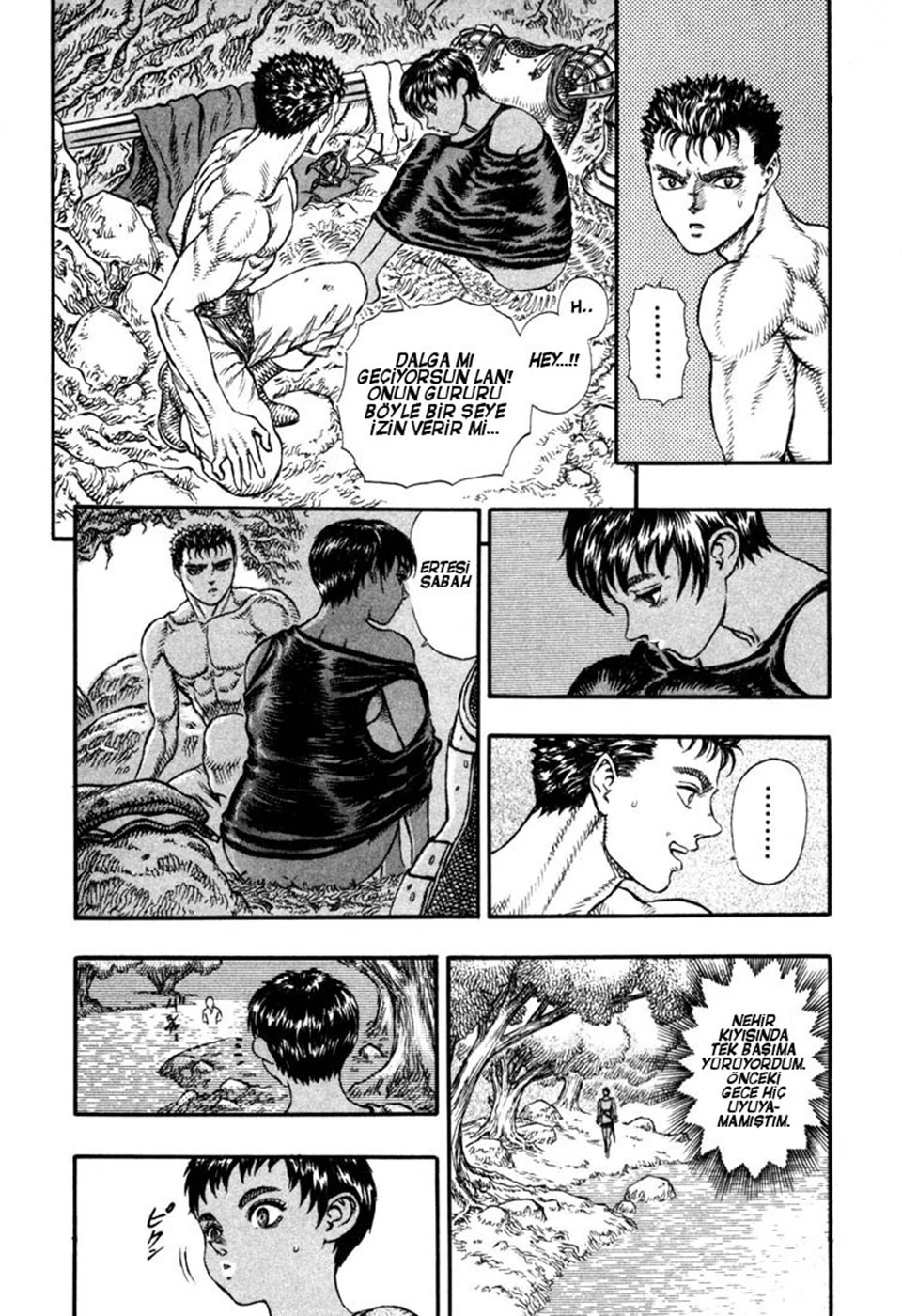 Read Berserk TR Manga Online