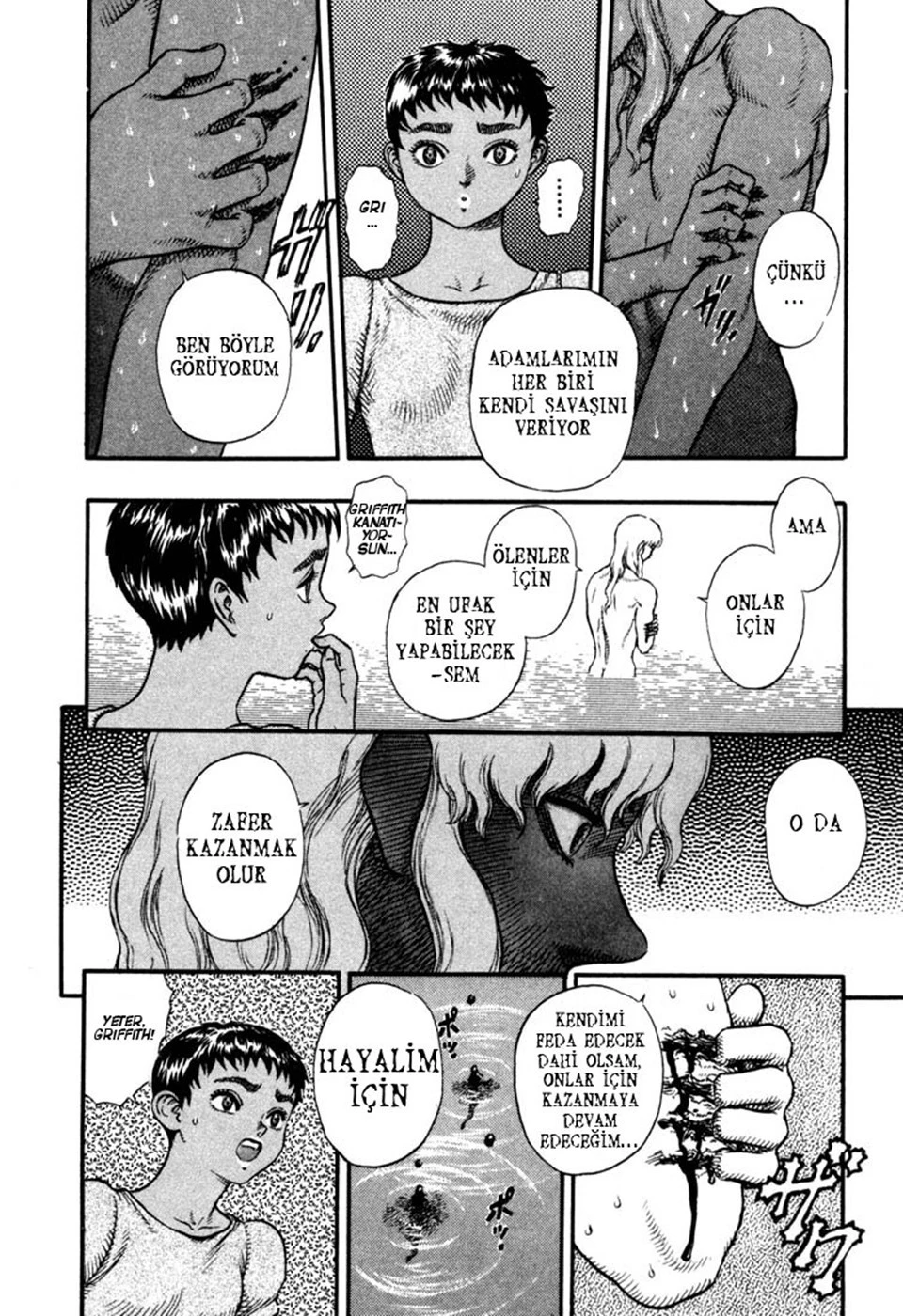 Read Berserk TR Manga Online