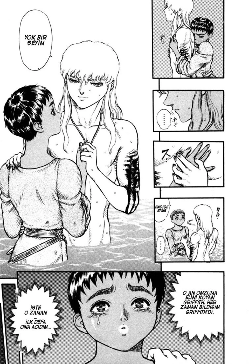 Read Berserk TR Manga Online
