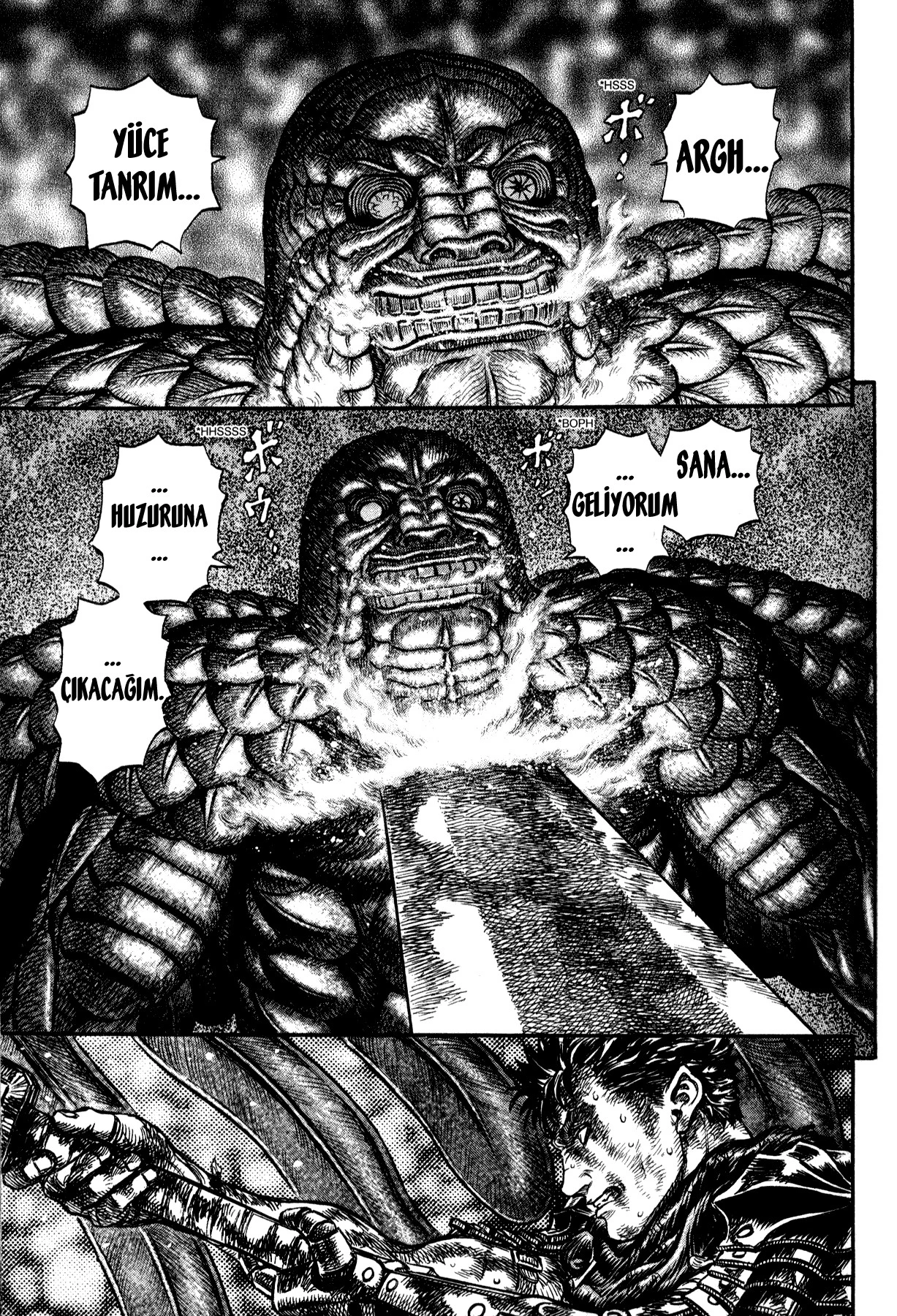 Read Berserk TR Manga Online