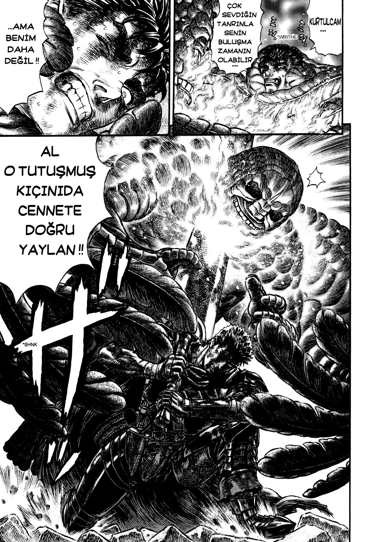 Read Berserk TR Manga Online