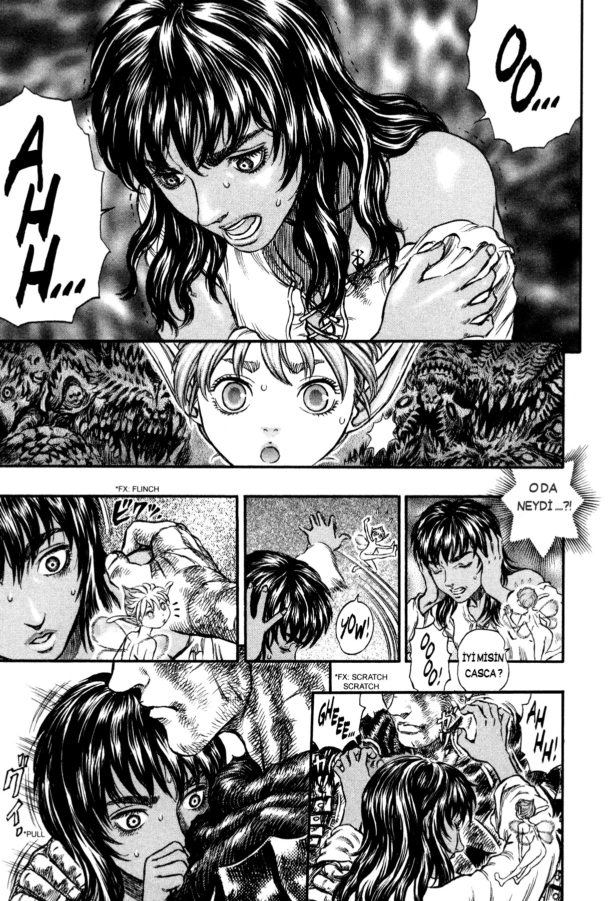 Read Berserk TR Manga Online