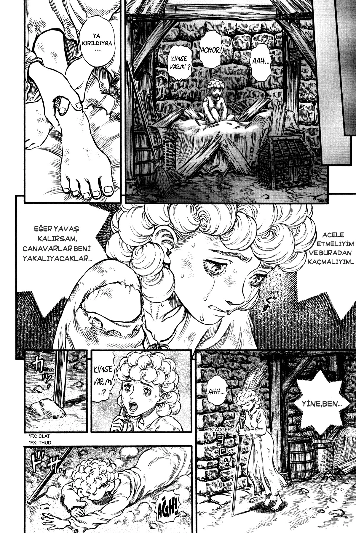 Read Berserk TR Manga Online