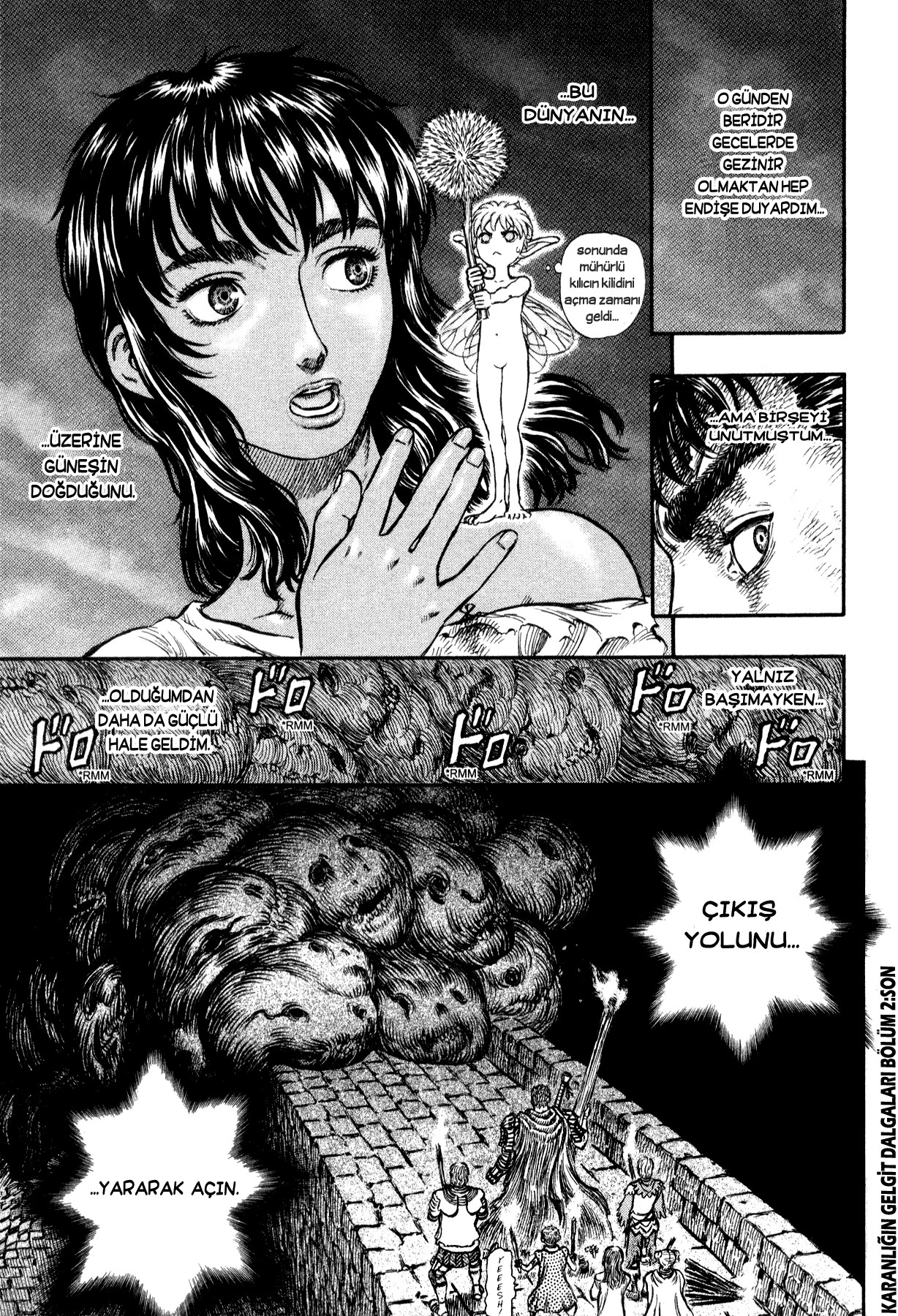 Read Berserk TR Manga Online