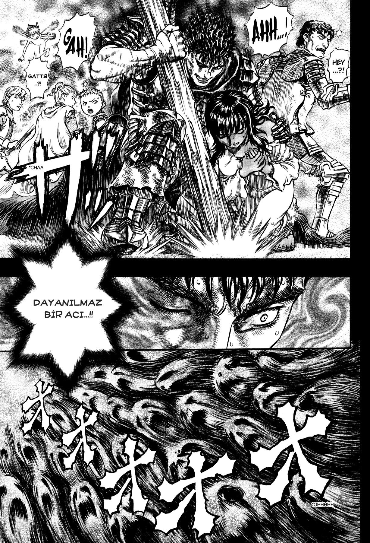Read Berserk TR Manga Online