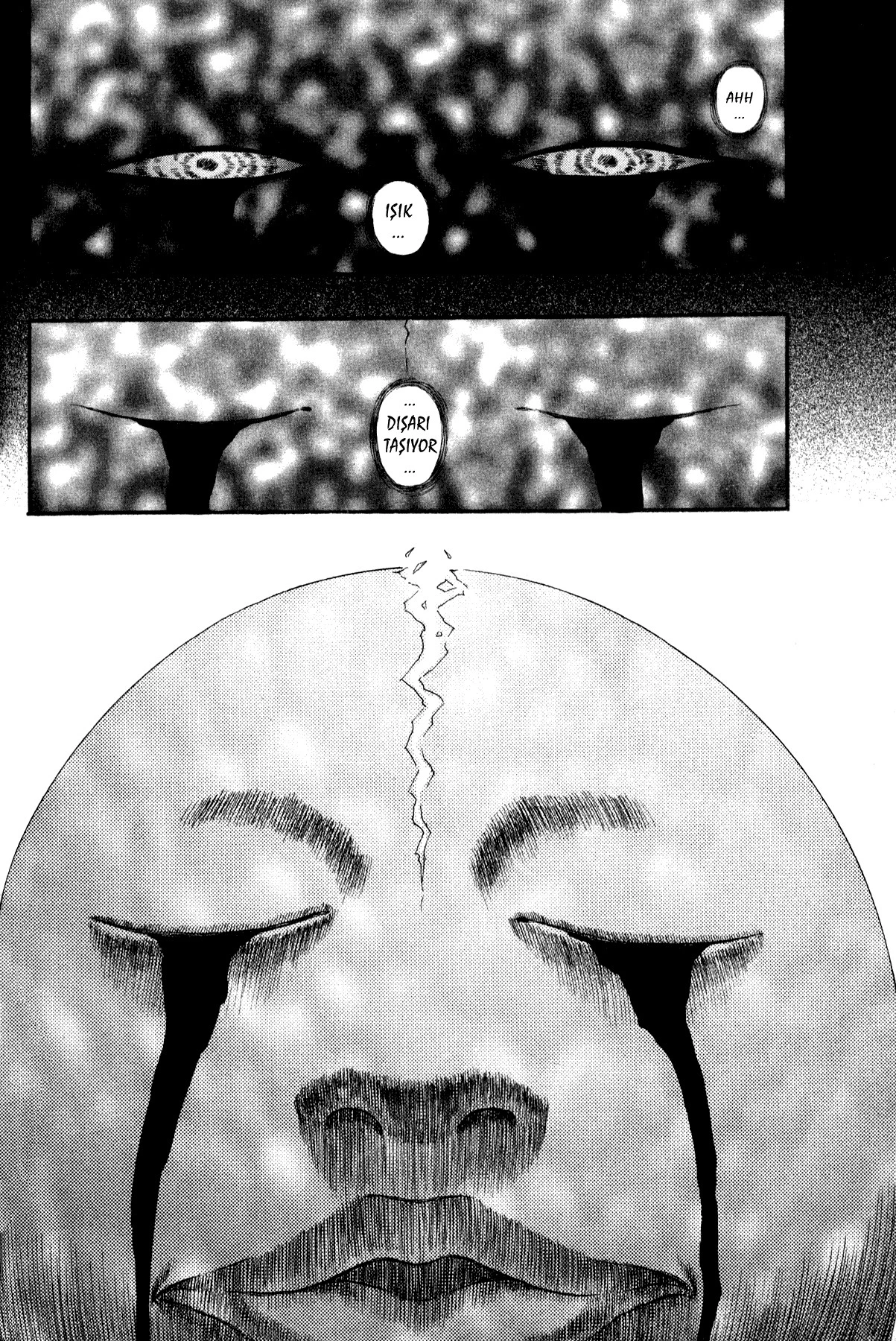 Read Berserk TR Manga Online