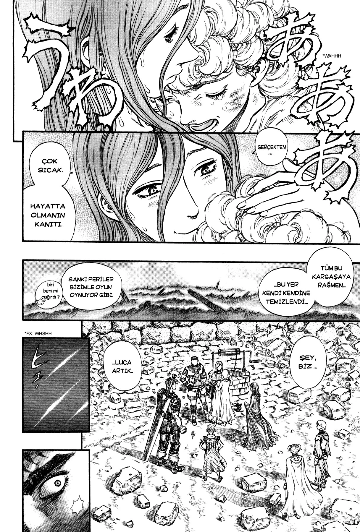 Read Berserk TR Manga Online