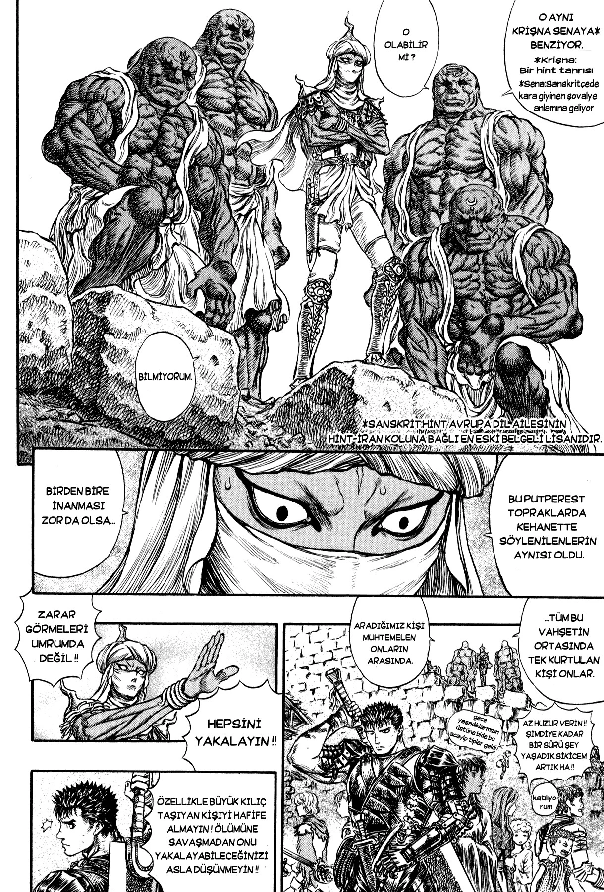 Read Berserk TR Manga Online
