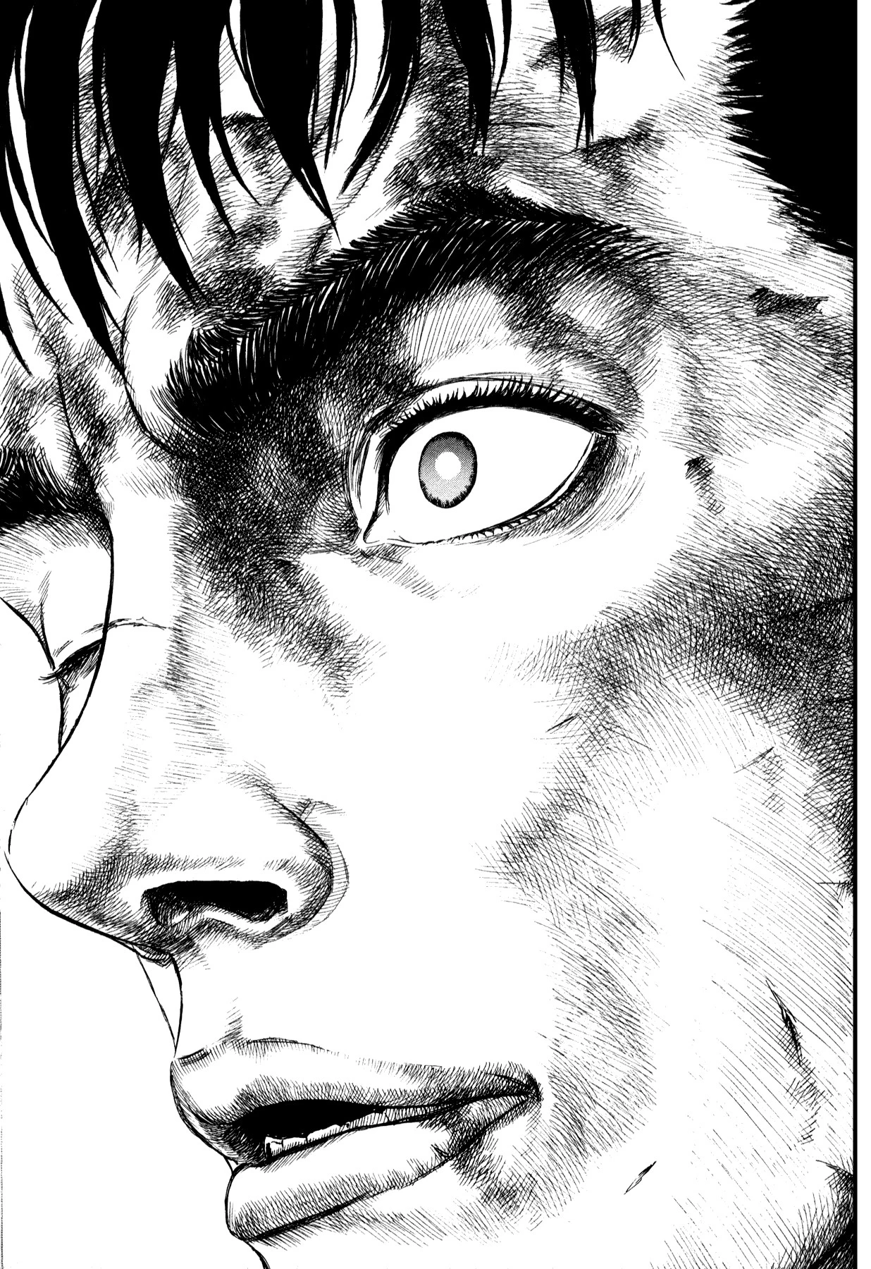 Read Berserk TR Manga Online