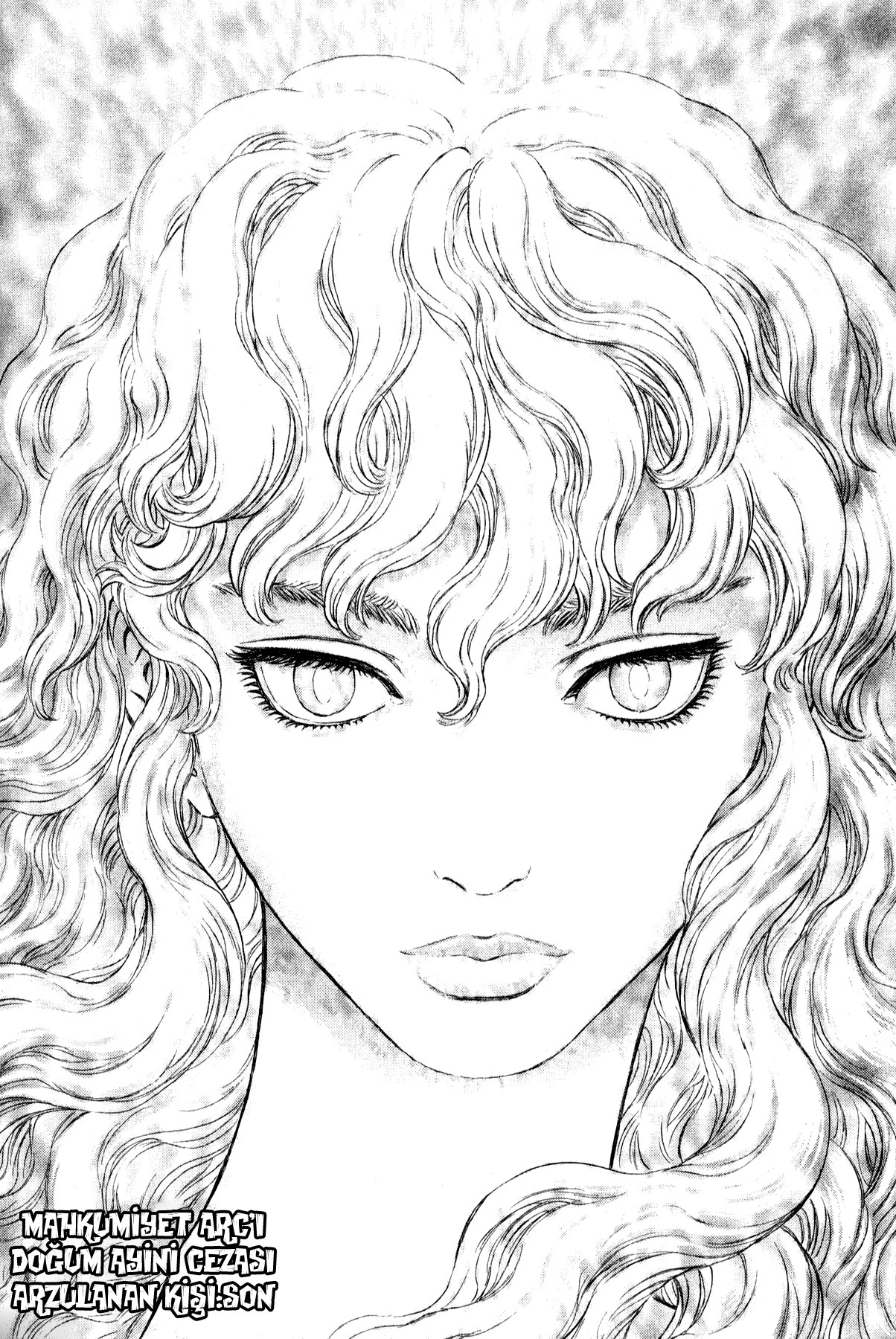 Read Berserk TR Manga Online