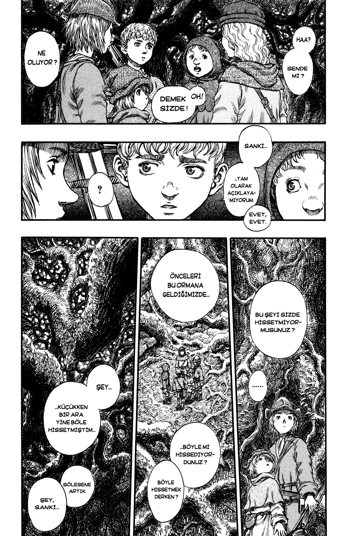 Read Berserk TR Manga Online