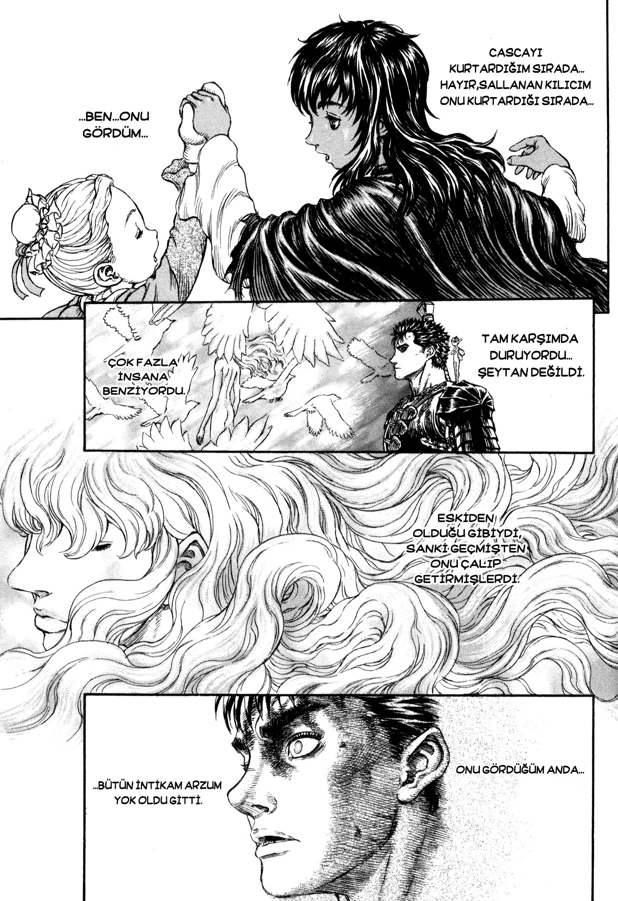 Read Berserk TR Manga Online