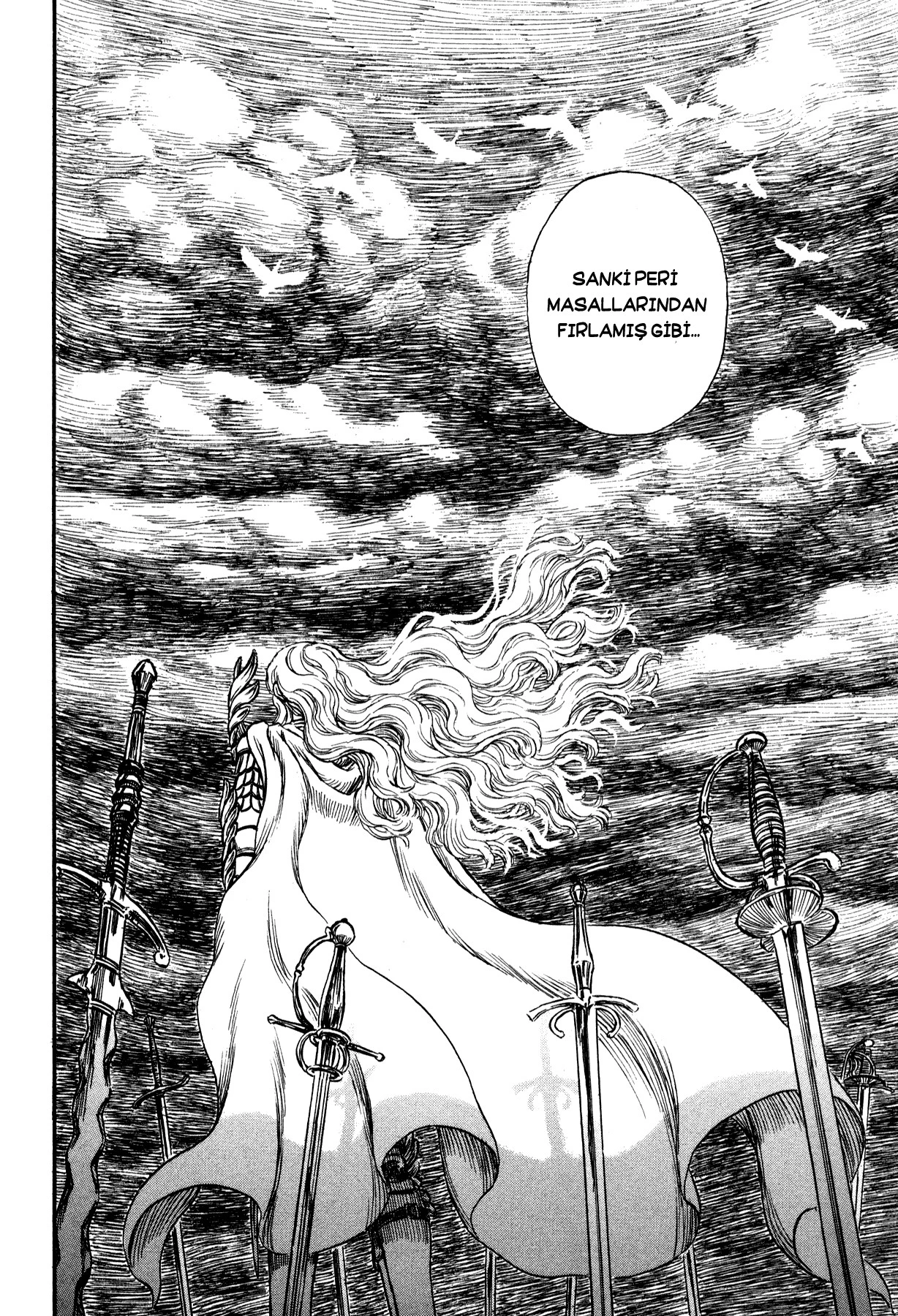 Read Berserk TR Manga Online