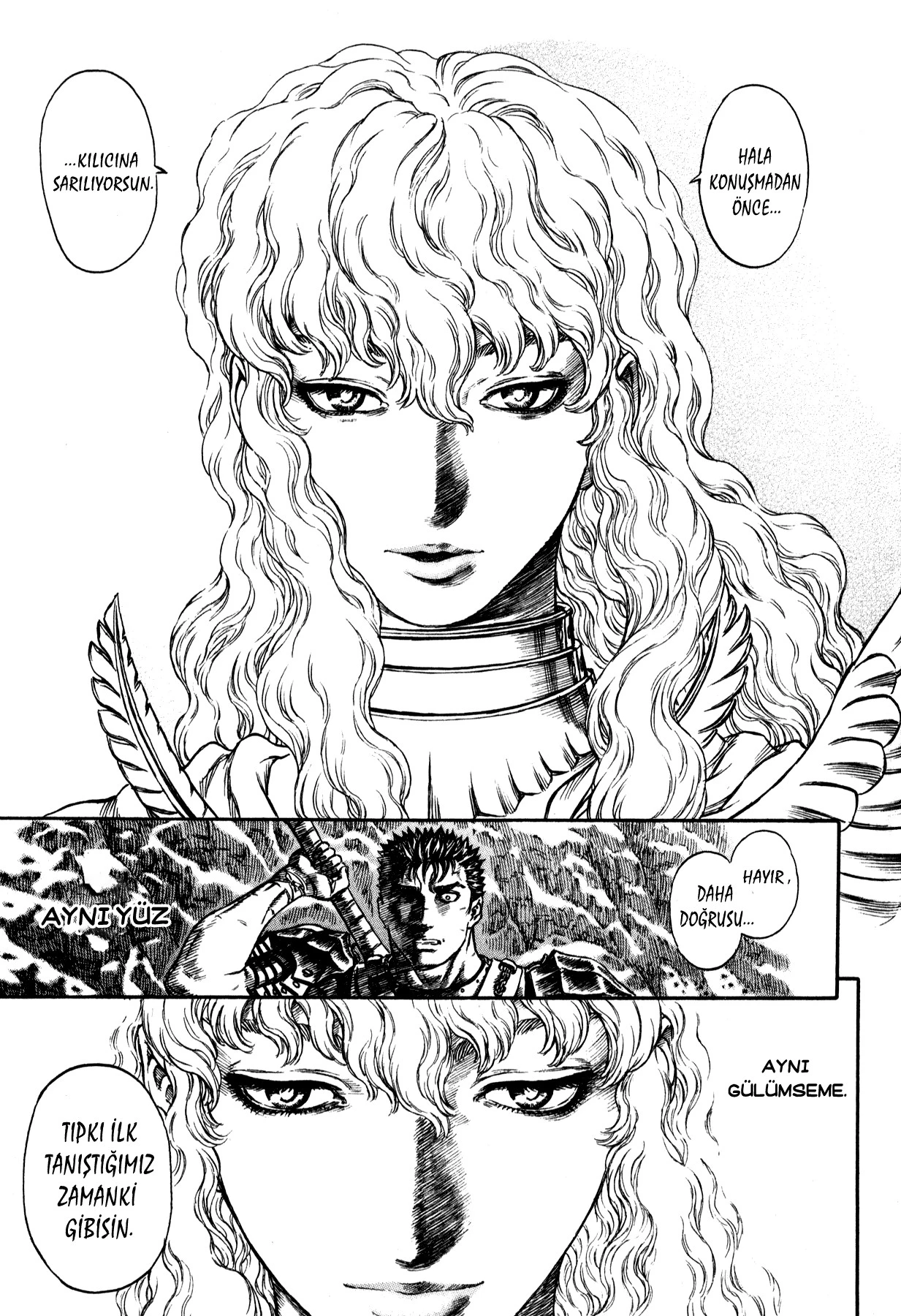 Read Berserk TR Manga Online