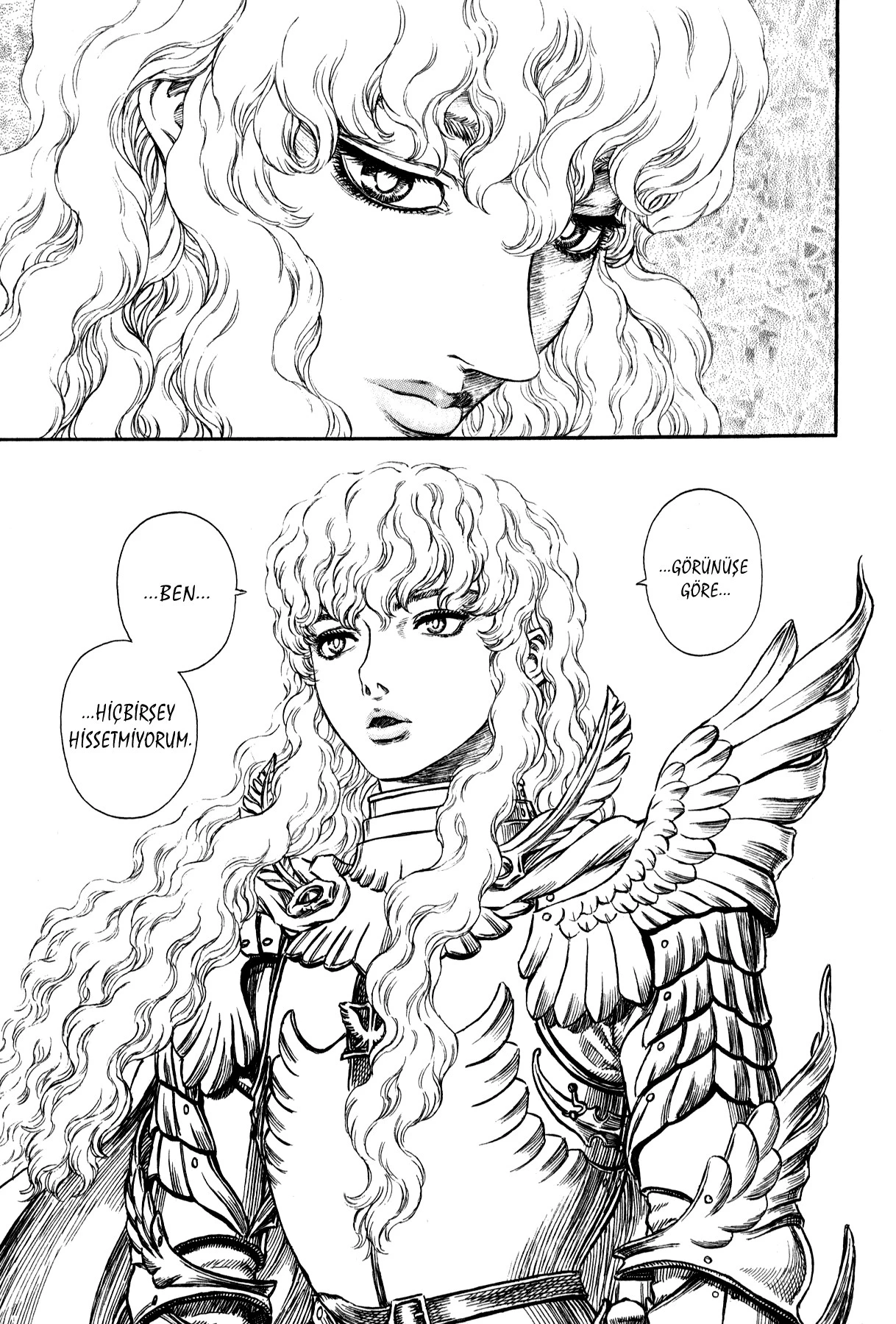 Read Berserk TR Manga Online