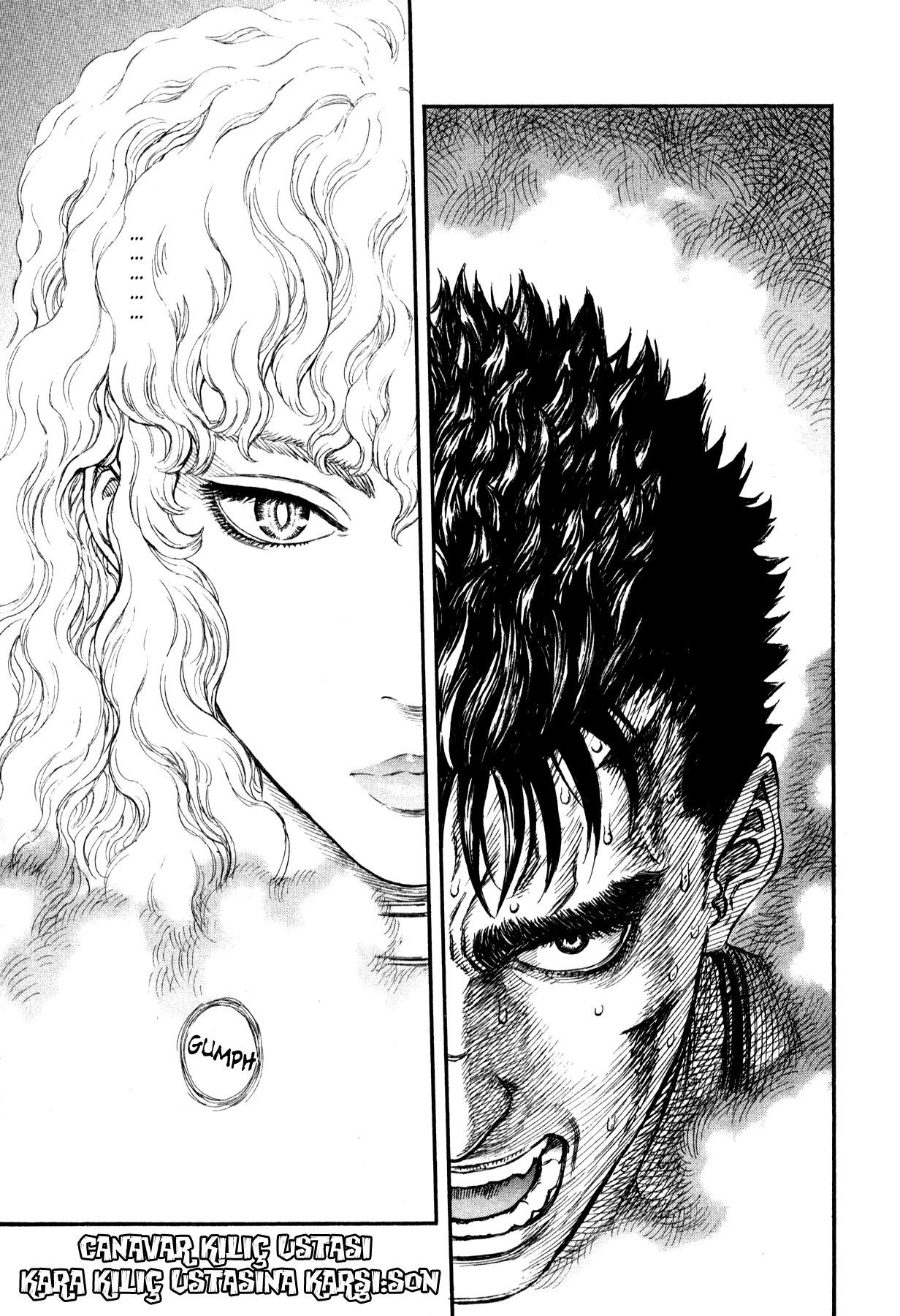 Read Berserk TR Manga Online