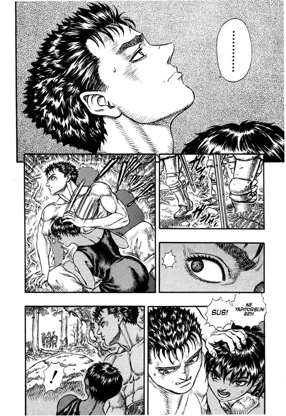 Read Berserk TR Manga Online