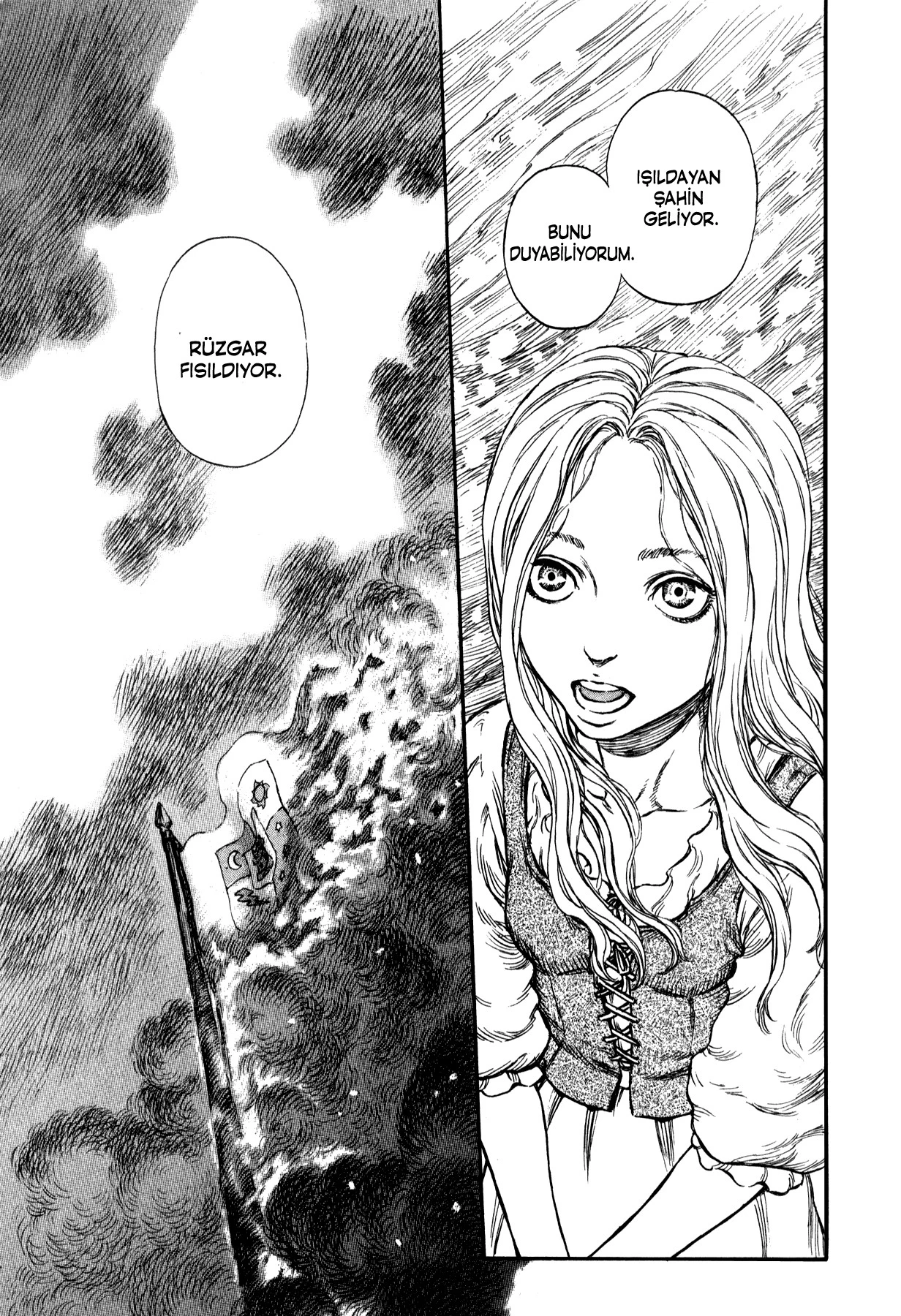 Read Berserk TR Manga Online