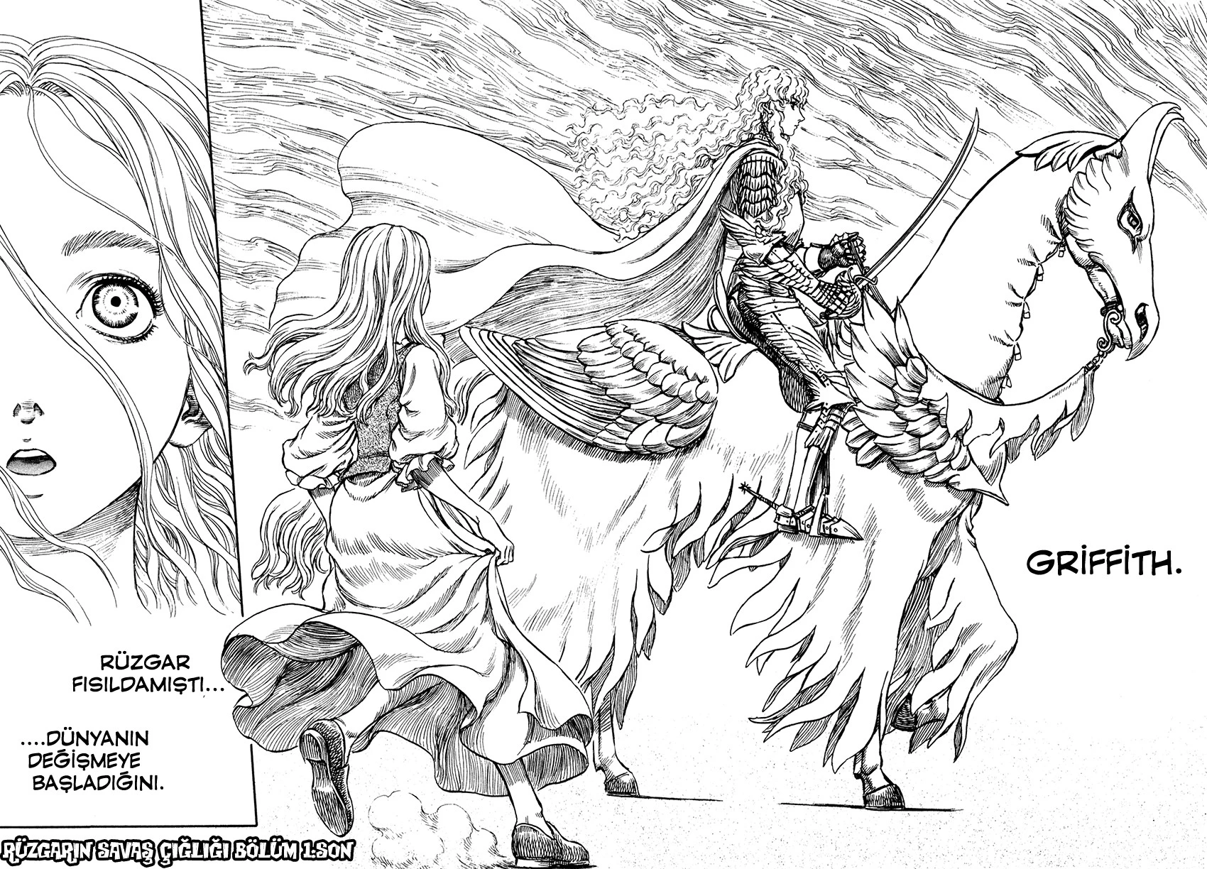 Read Berserk TR Manga Online