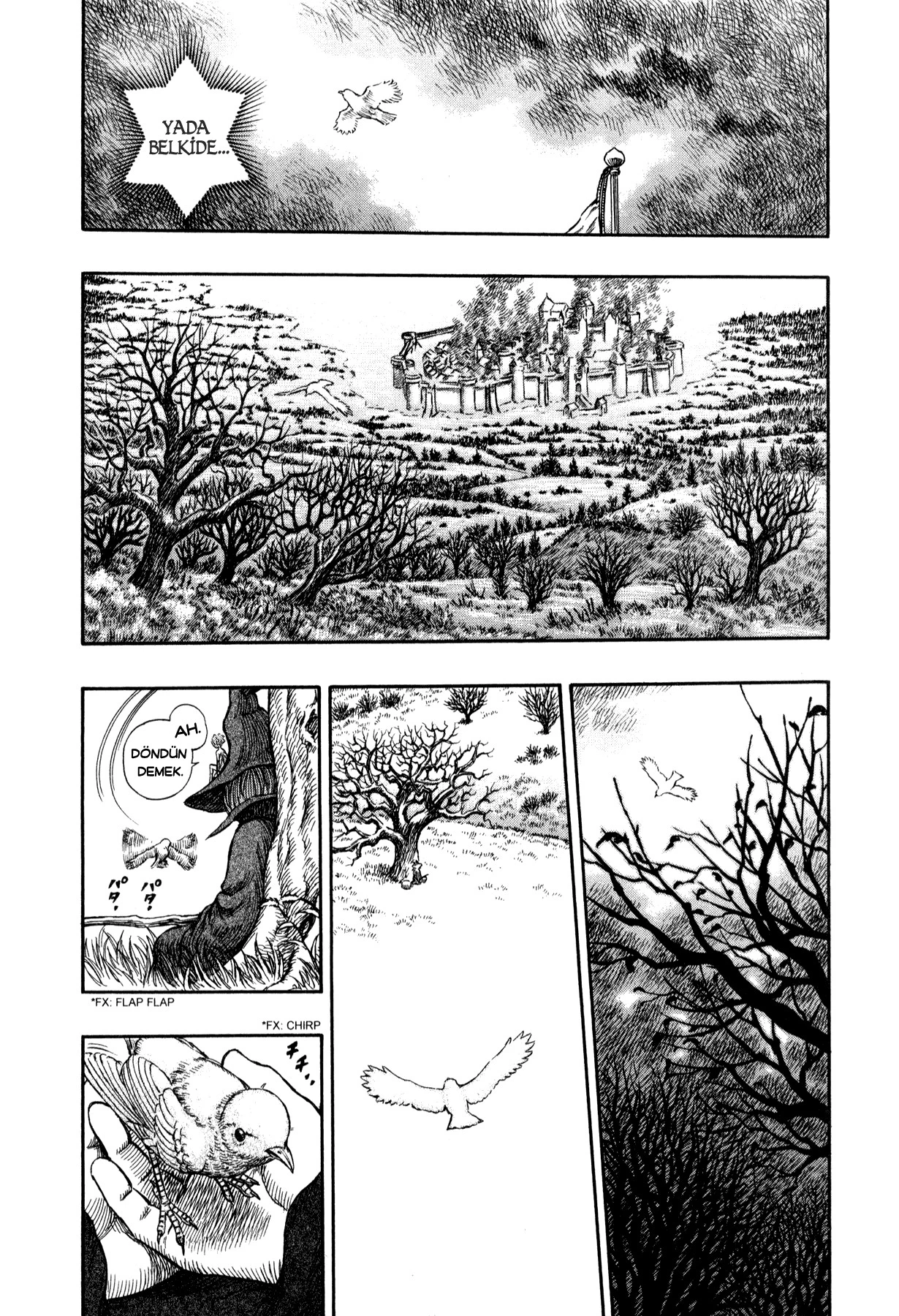 Read Berserk TR Manga Online