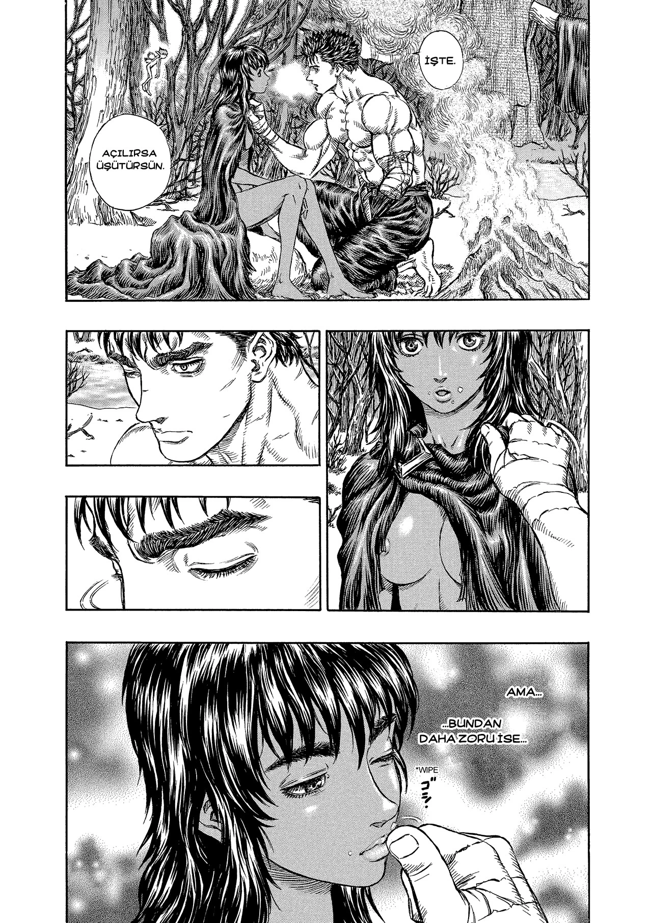 Read Berserk TR Manga Online