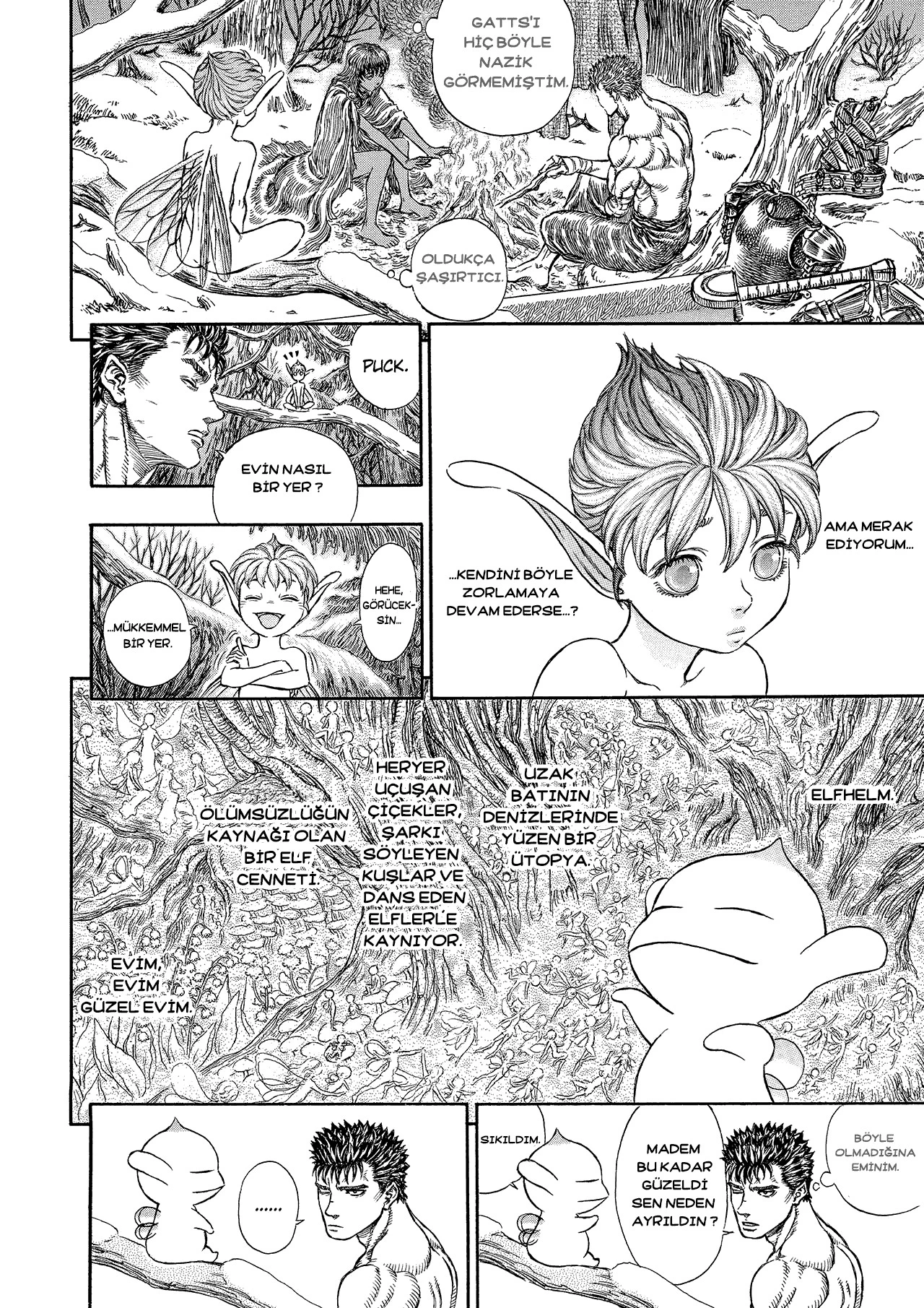 Read Berserk TR Manga Online