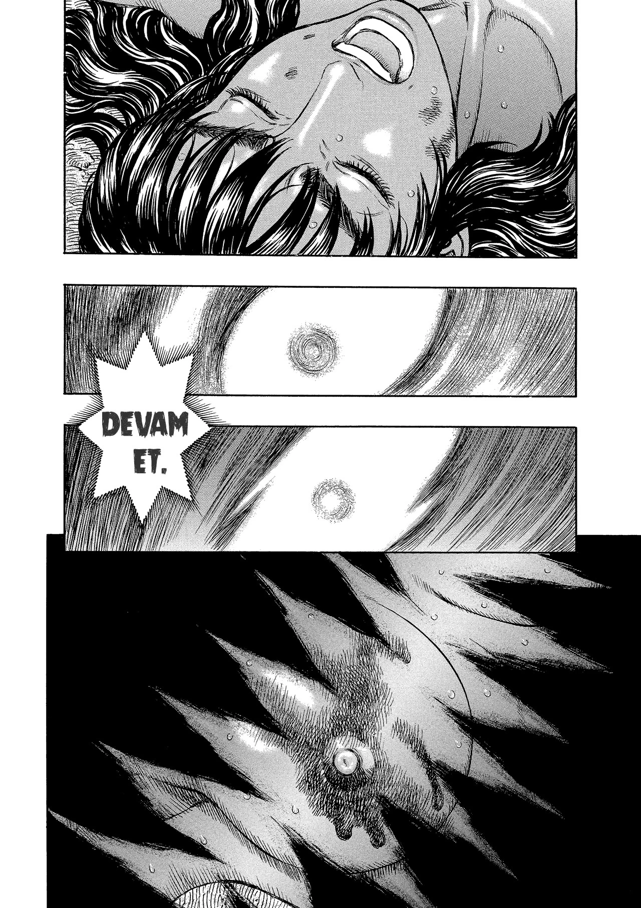 Read Berserk TR Manga Online