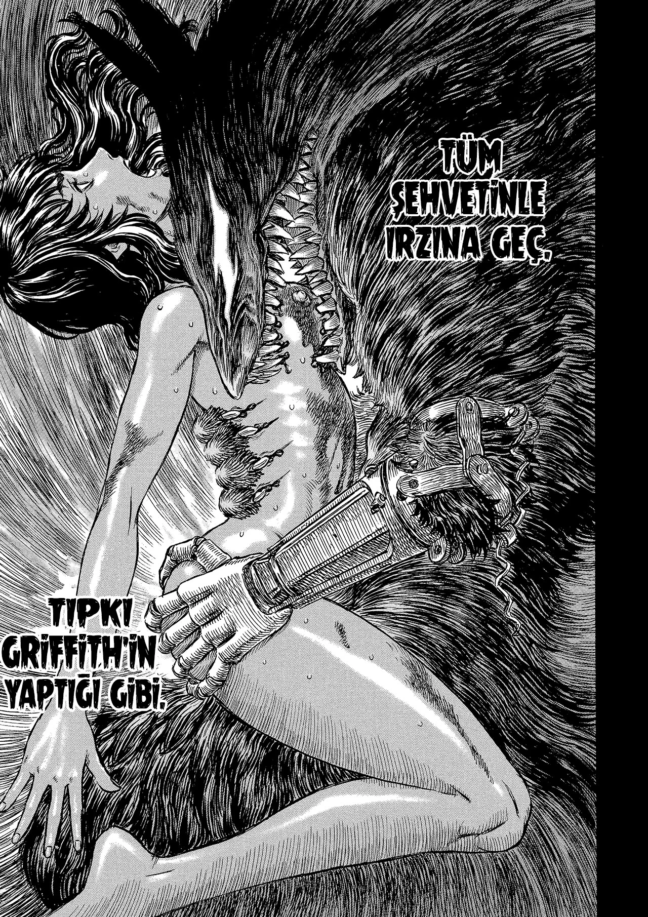 Read Berserk TR Manga Online