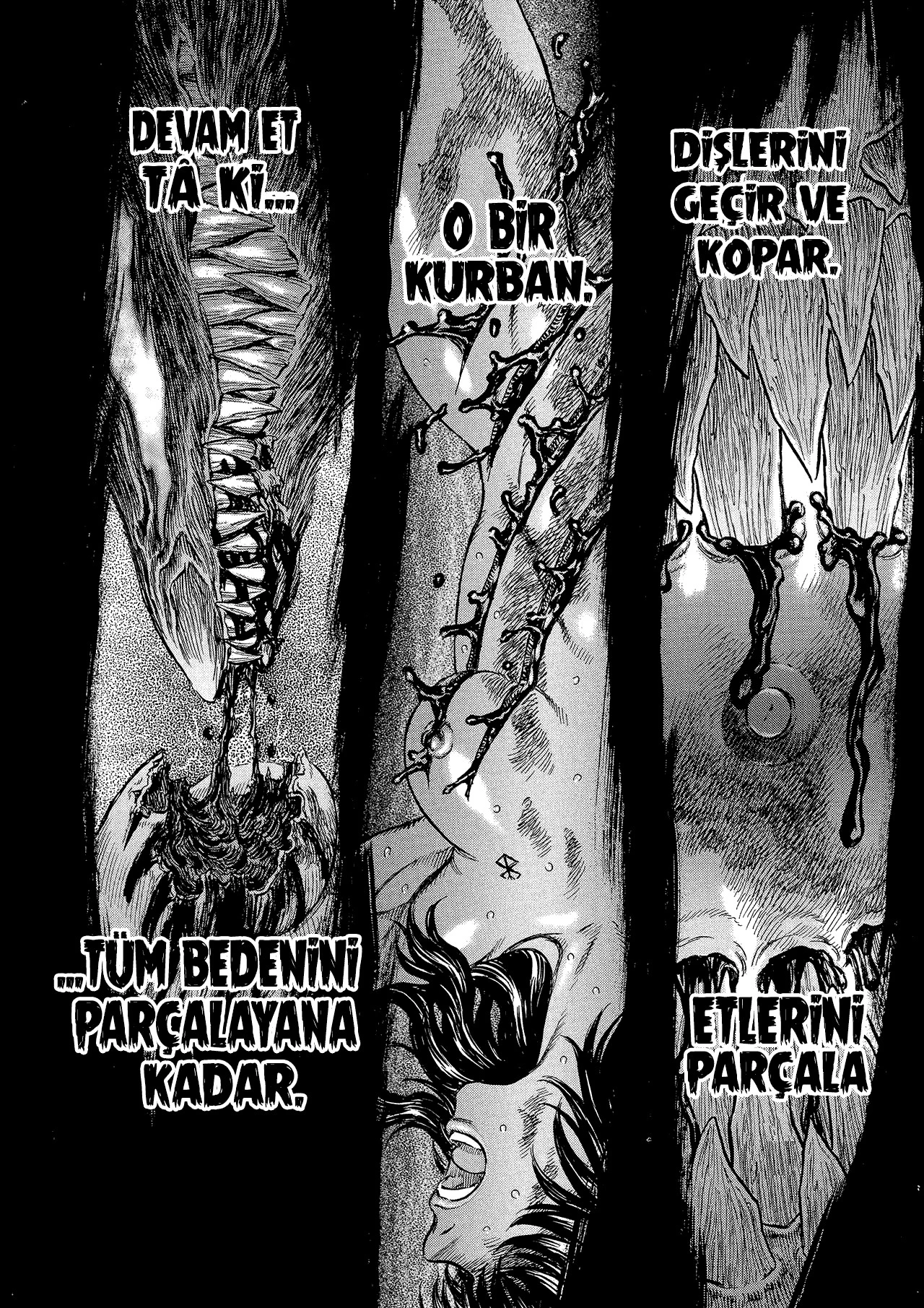 Read Berserk TR Manga Online