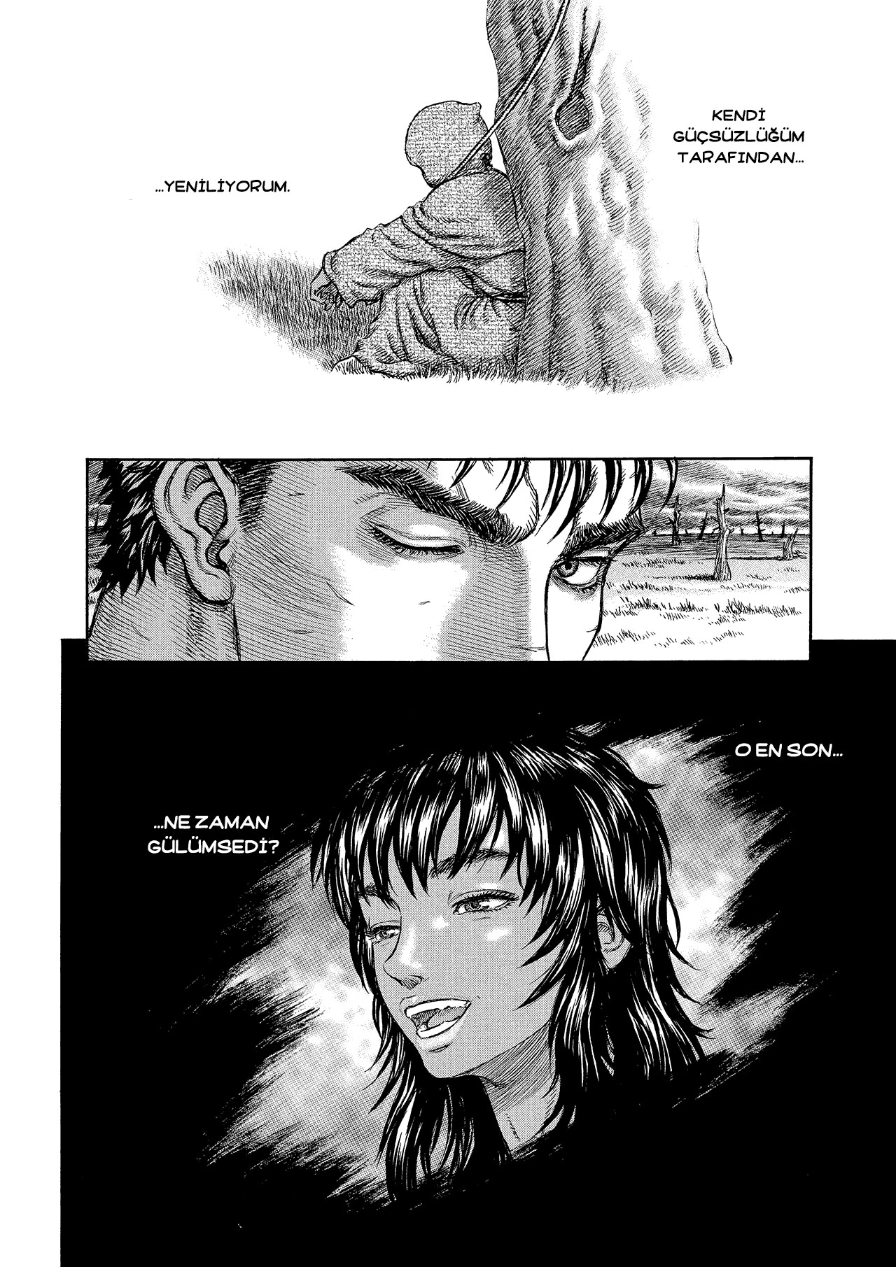 Read Berserk TR Manga Online
