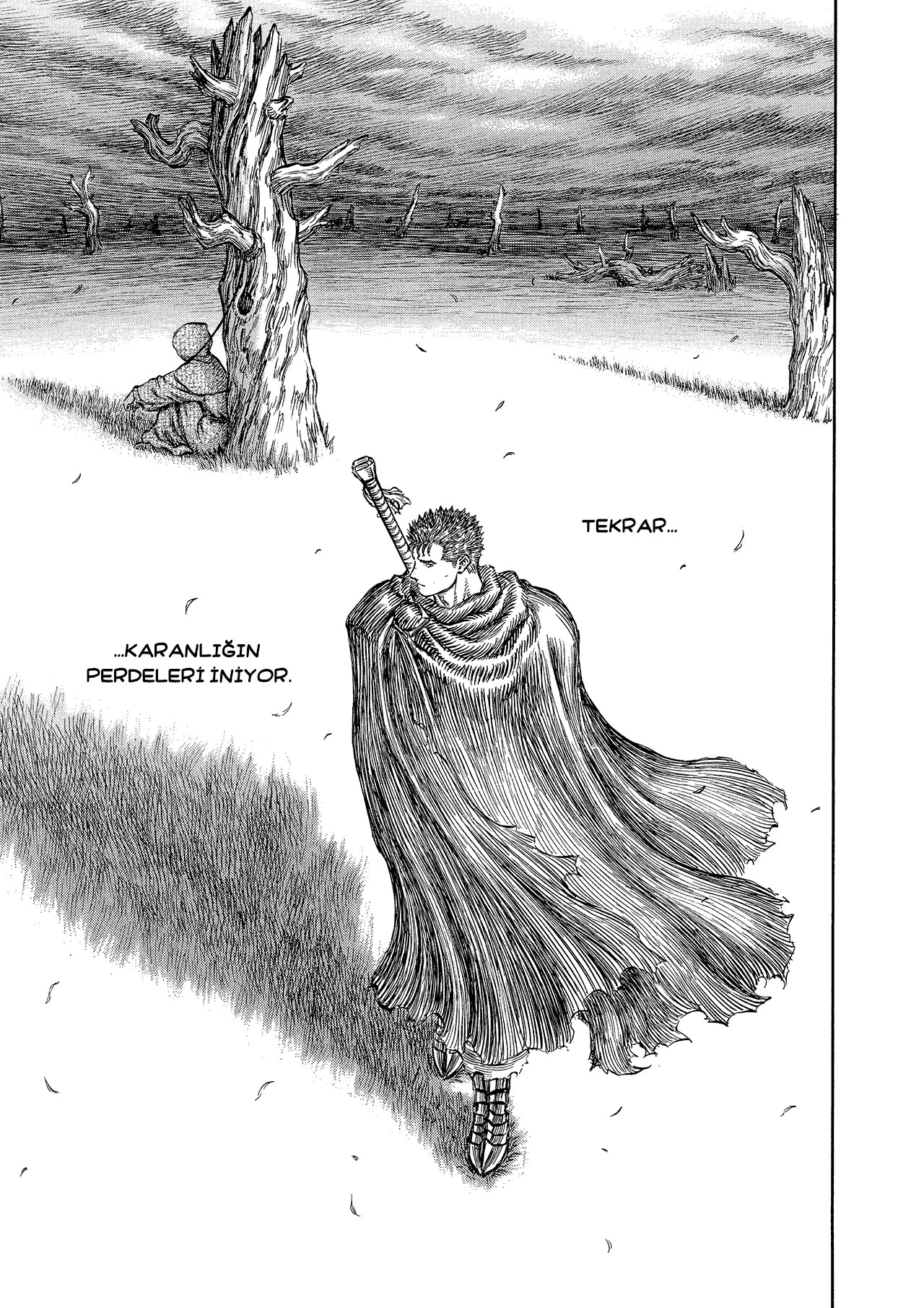 Read Berserk TR Manga Online