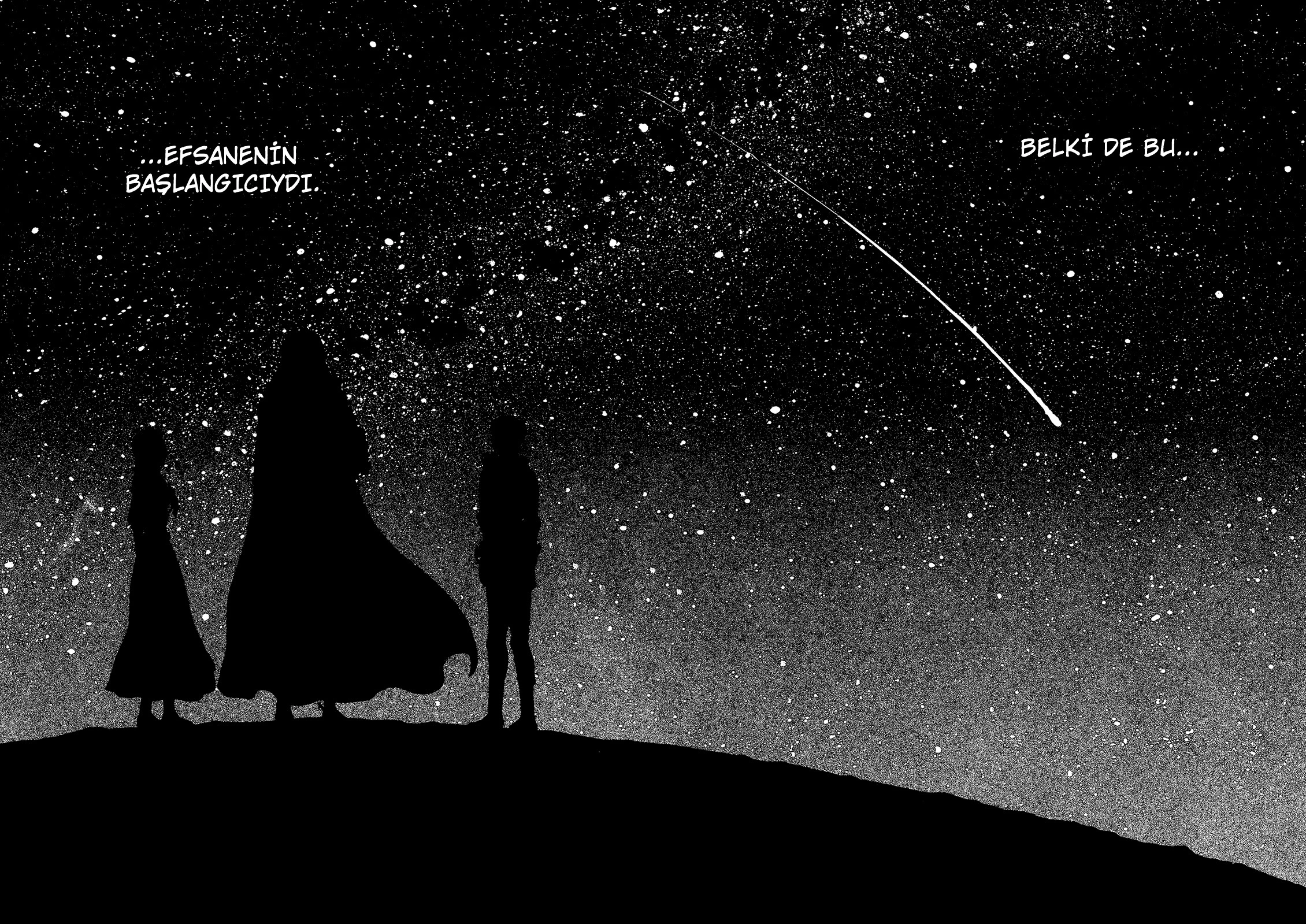 Read Berserk TR Manga Online