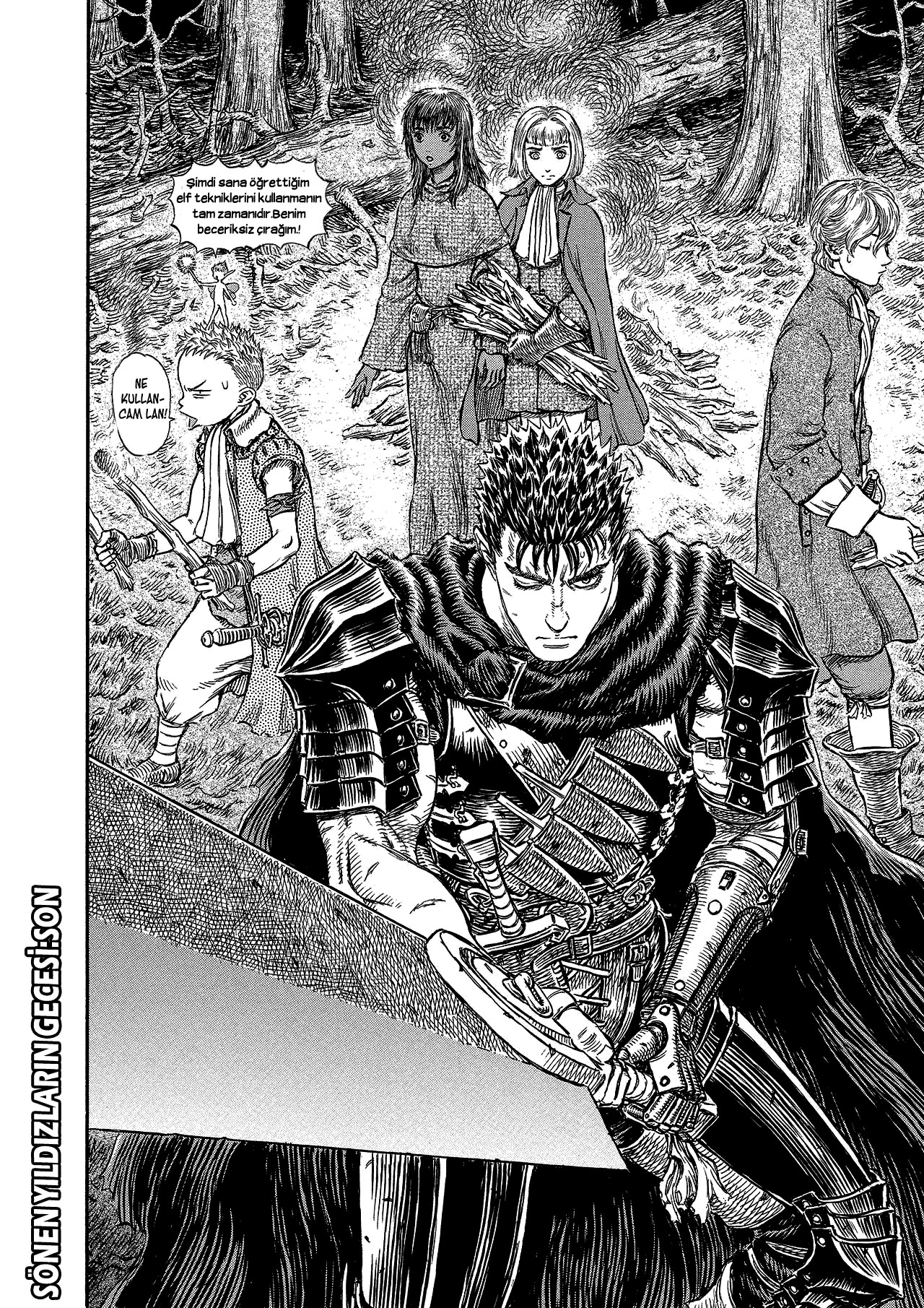 Read Berserk TR Manga Online