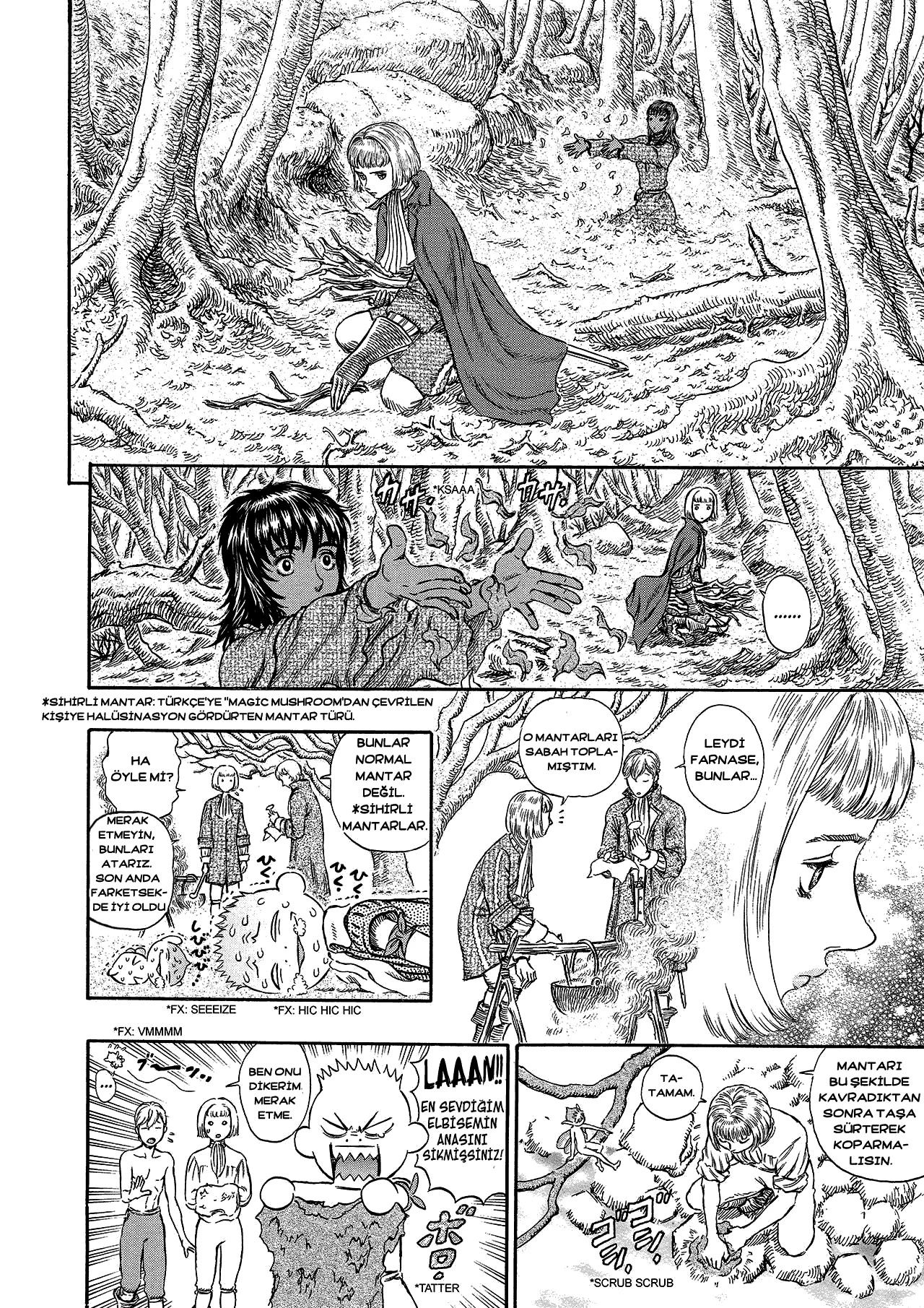 Read Berserk TR Manga Online