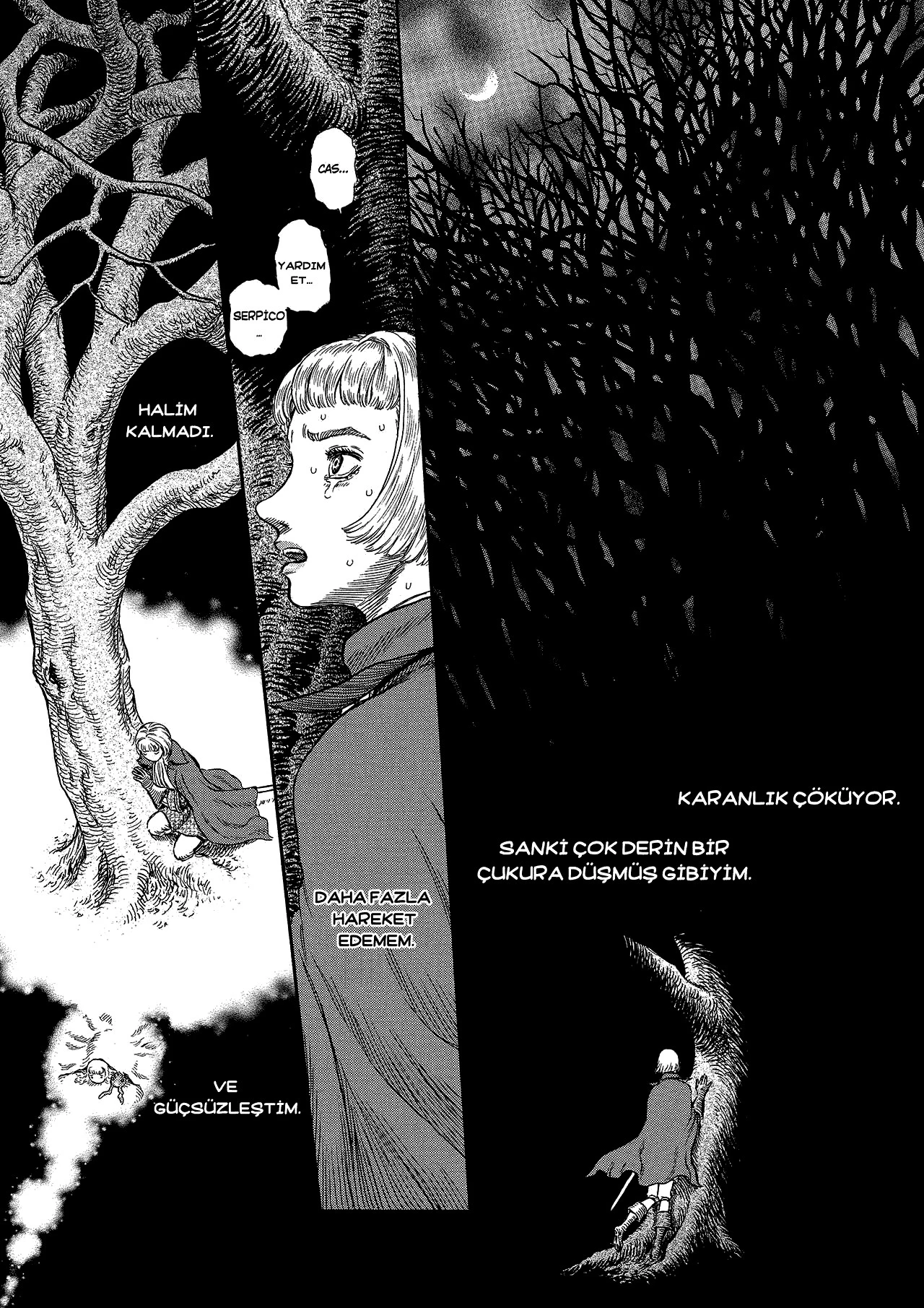 Read Berserk TR Manga Online