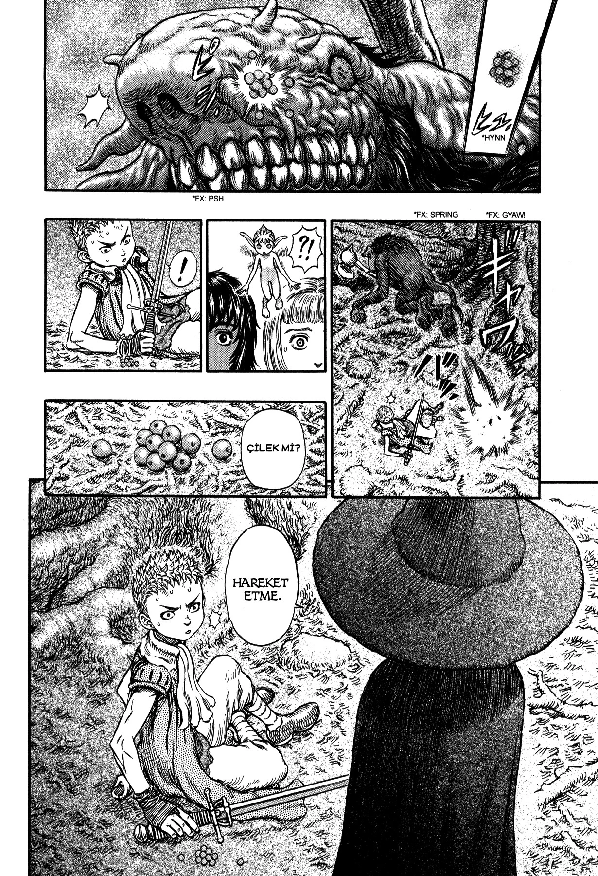 Read Berserk TR Manga Online