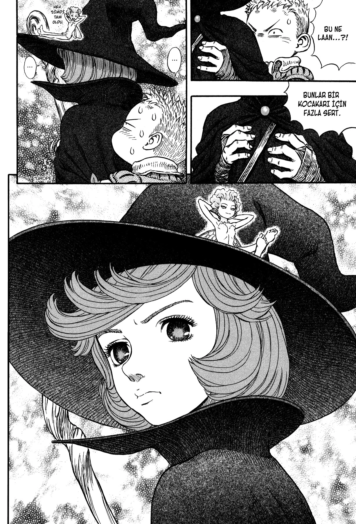 Read Berserk TR Manga Online