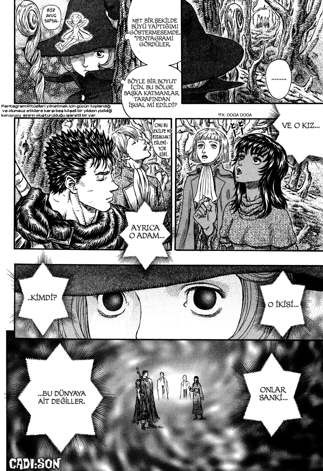 Read Berserk TR Manga Online