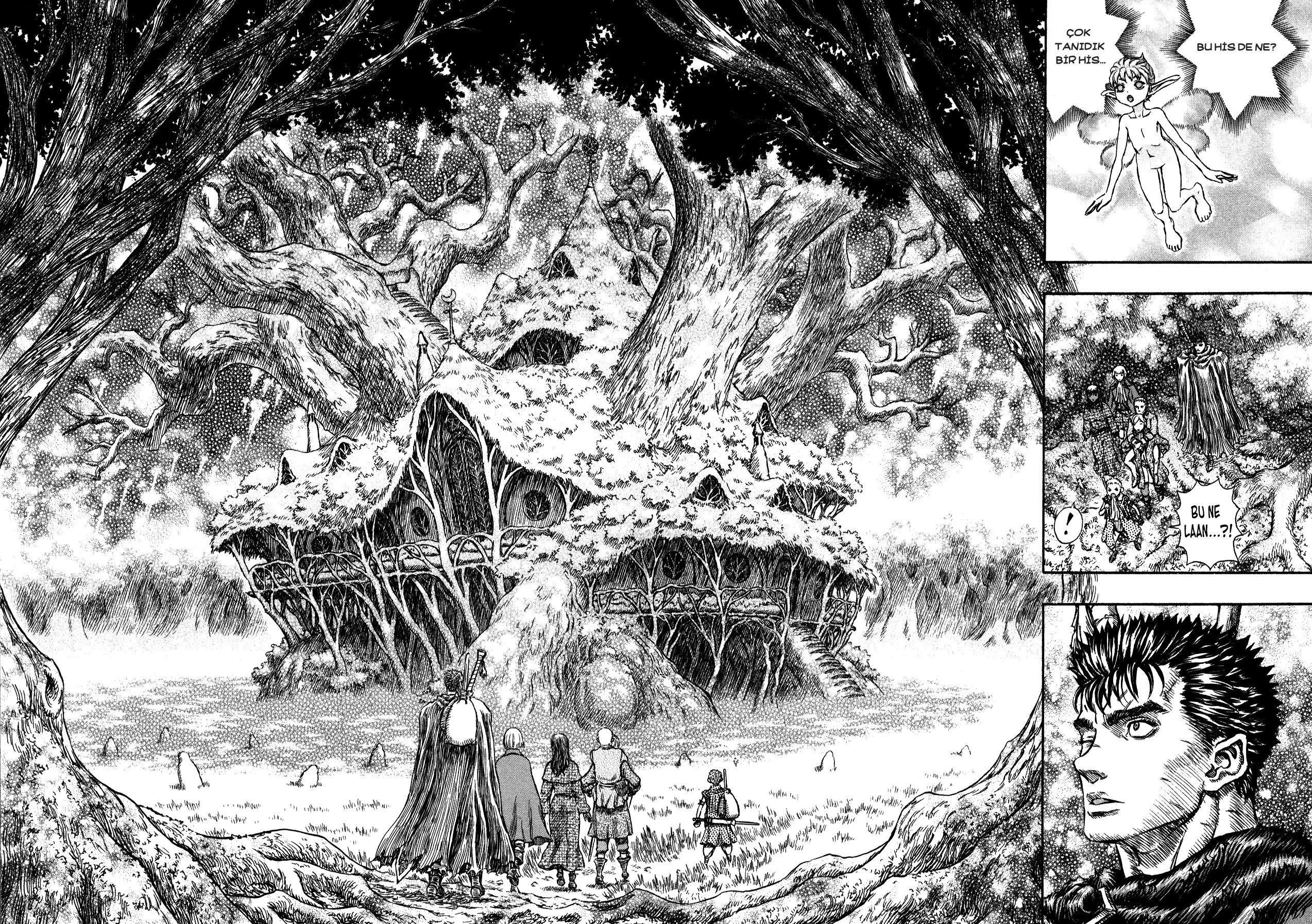 Read Berserk TR Manga Online
