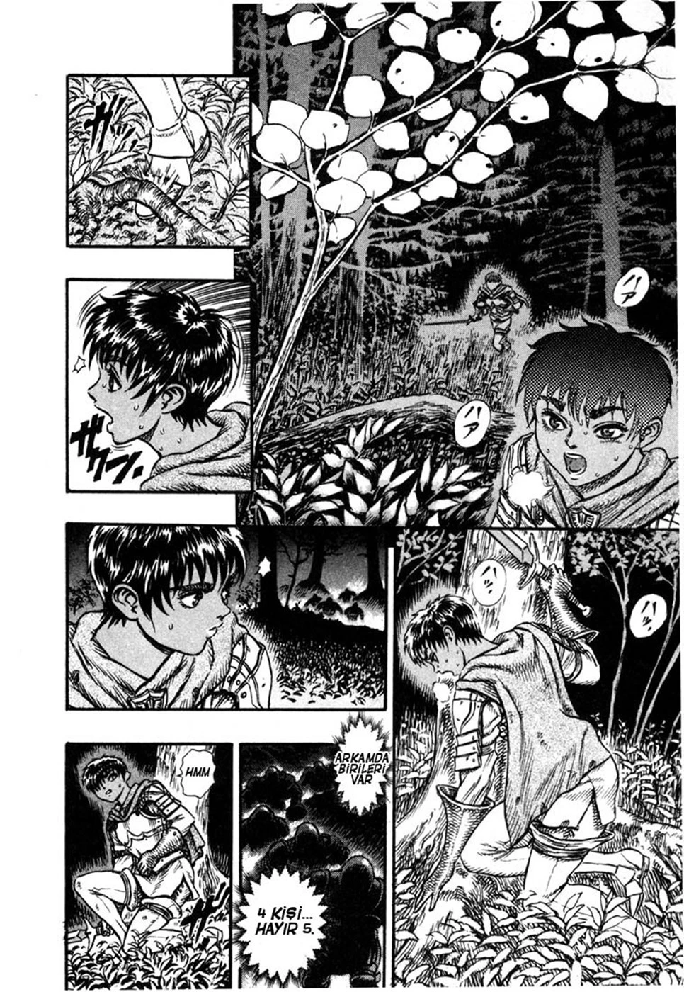 Read Berserk TR Manga Online