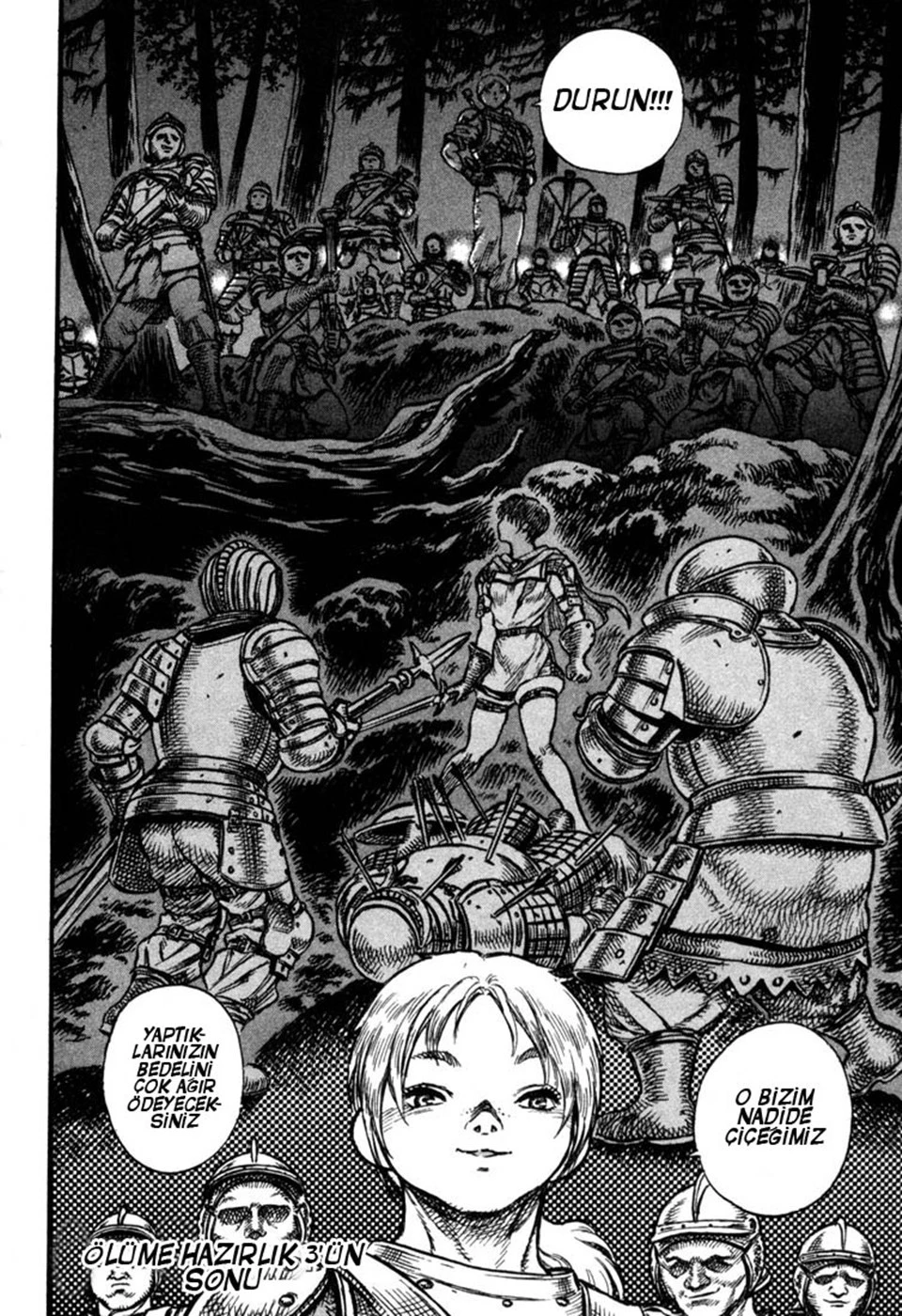 Read Berserk TR Manga Online