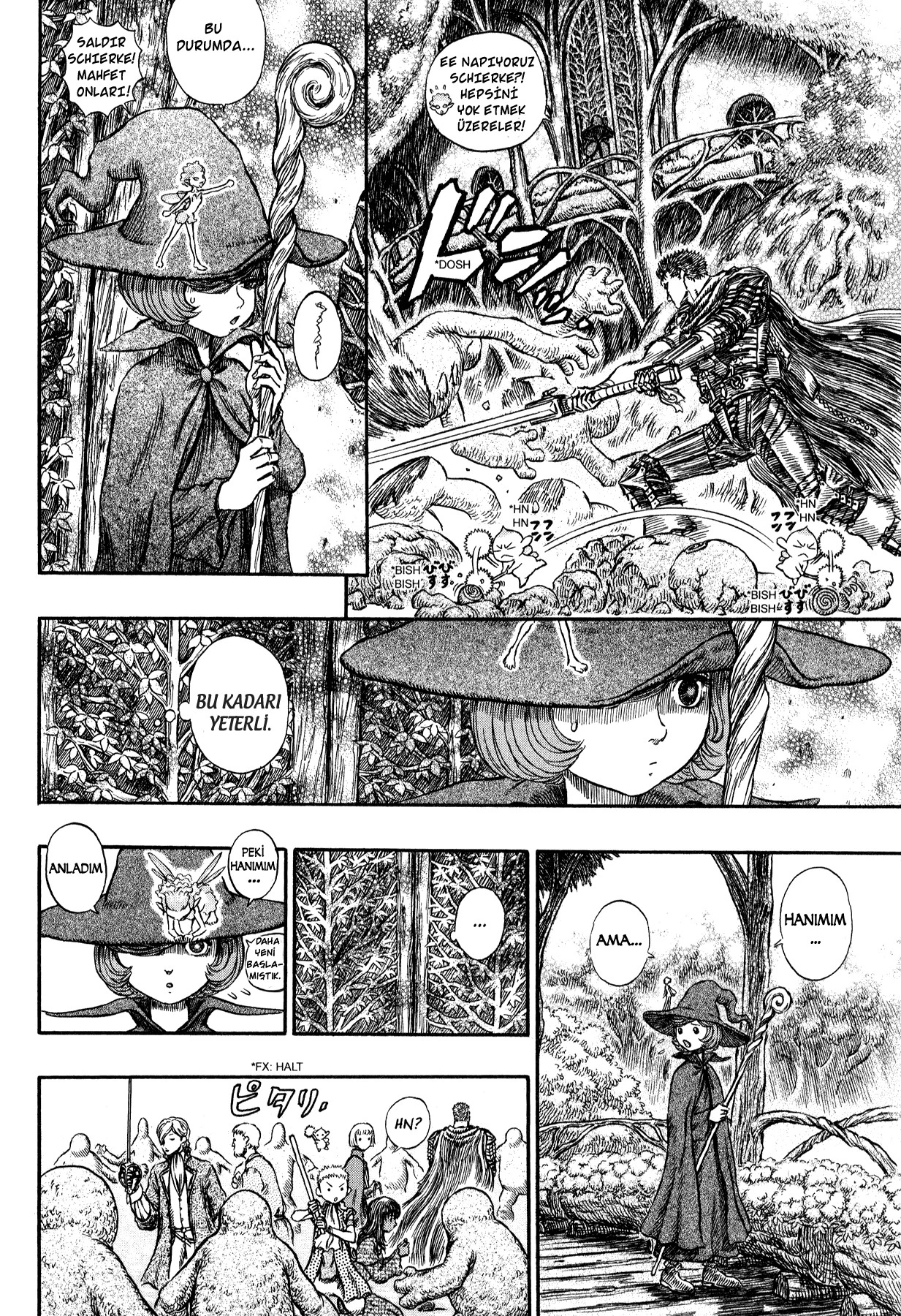 Read Berserk TR Manga Online