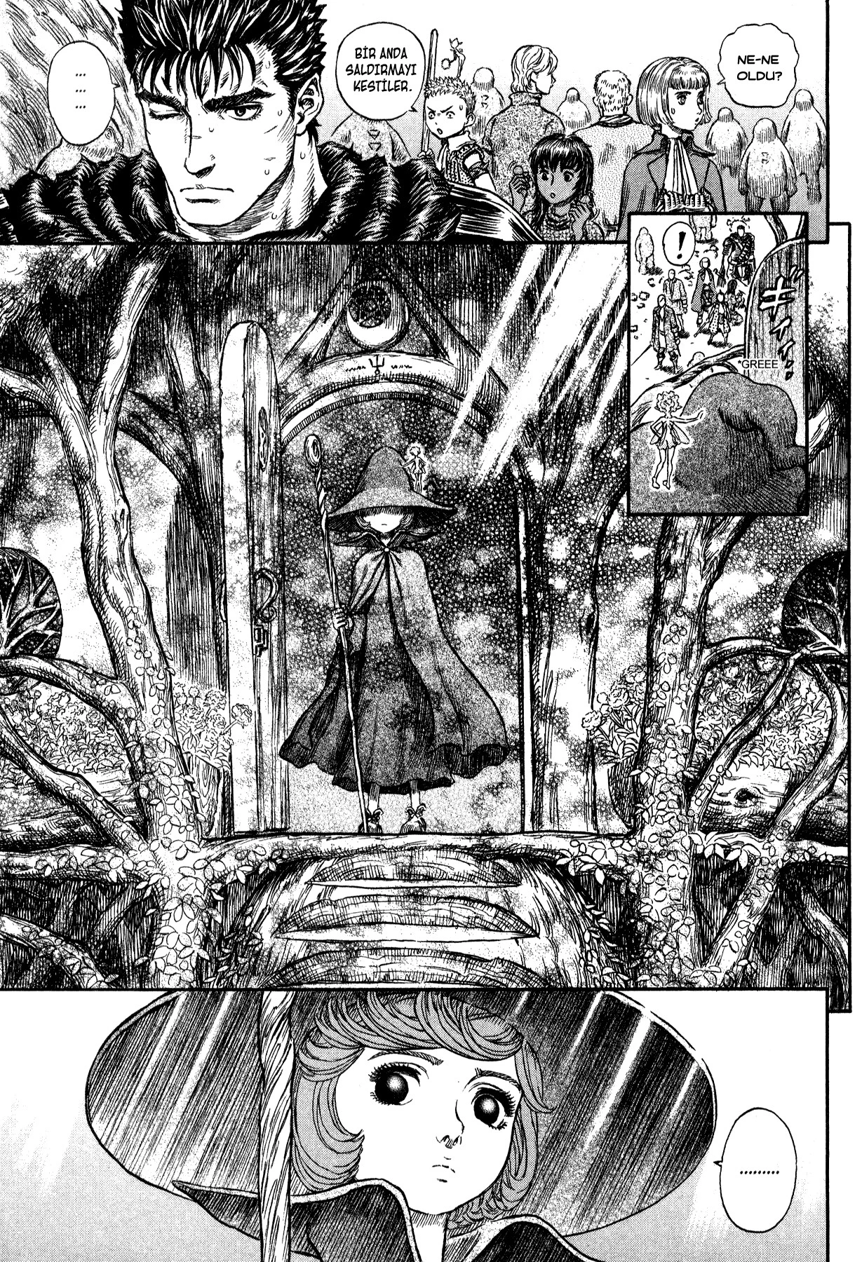 Read Berserk TR Manga Online