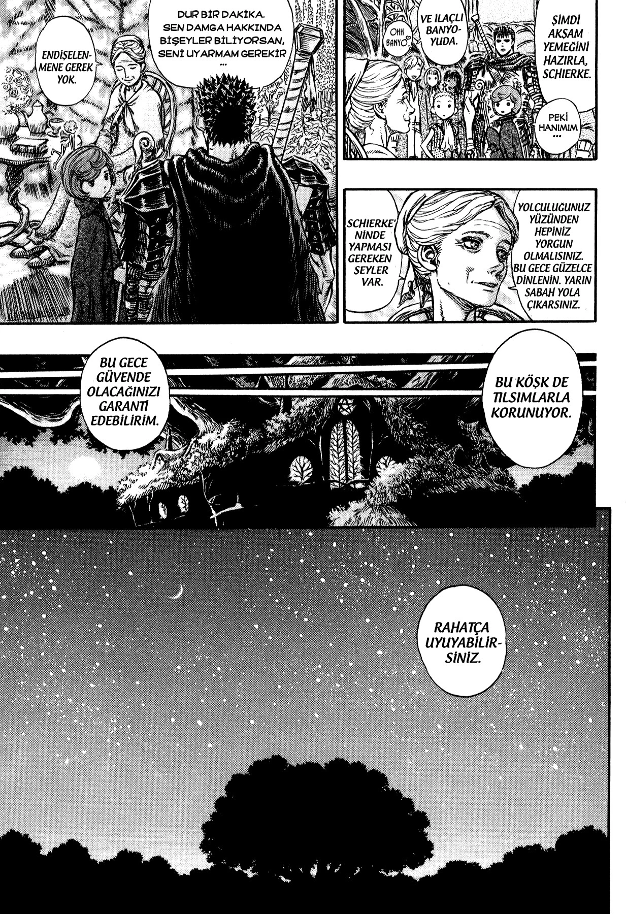 Read Berserk TR Manga Online