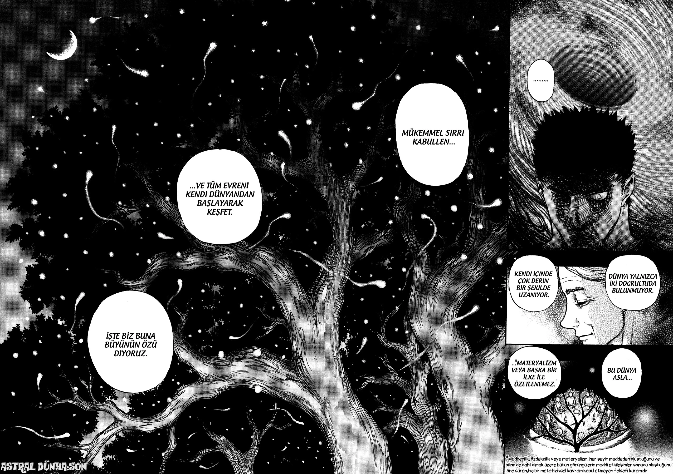 Read Berserk TR Manga Online