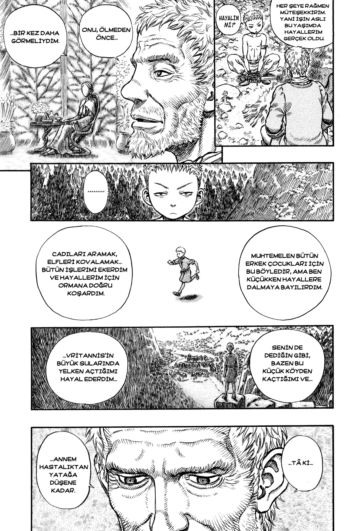 Read Berserk TR Manga Online