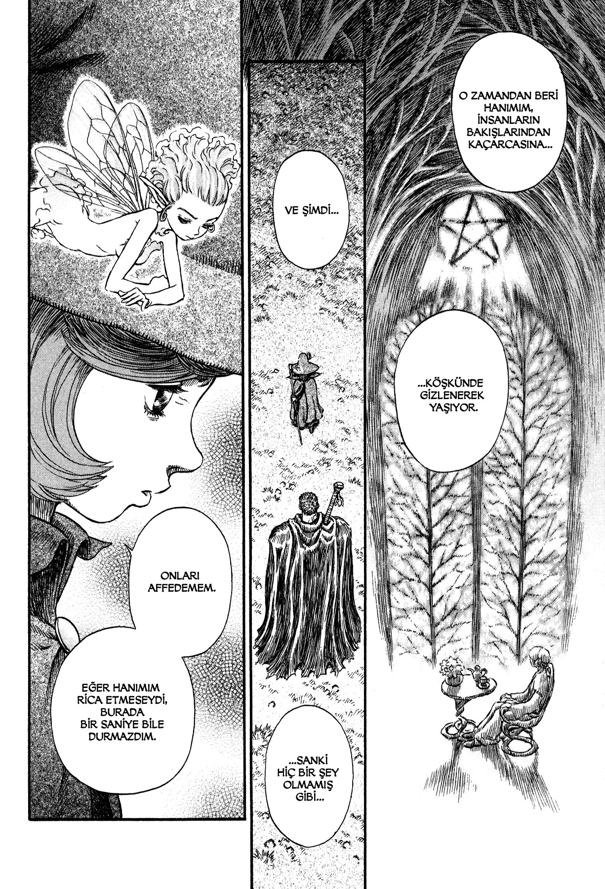 Read Berserk TR Manga Online